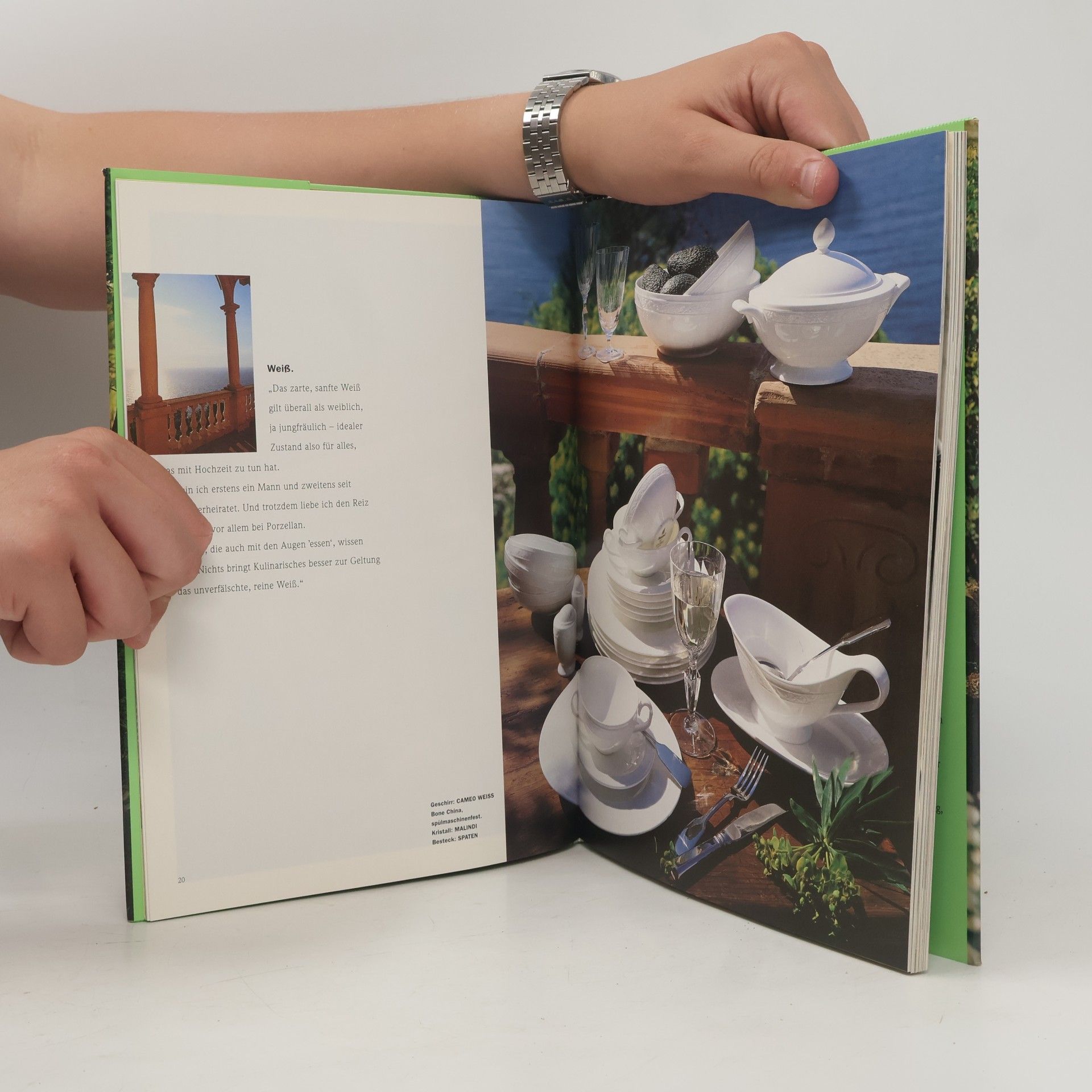 Autorenkollektiv The House of Villeroy & Boch