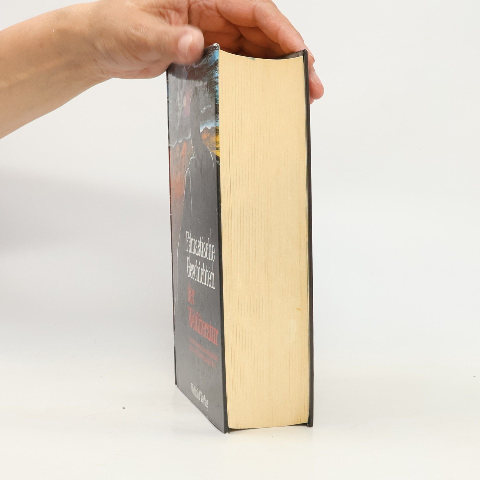 Autorenkollektiv Fantastische Geschichten der Weltliteratur