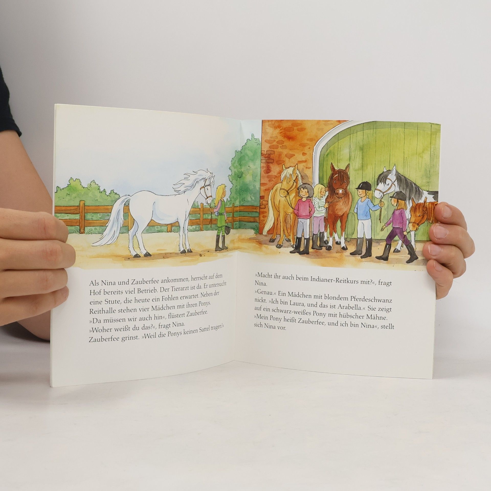 Sabine Streufert Maxi Bilderbuch: Pony Zauberfee - eine spannende Reitstunde