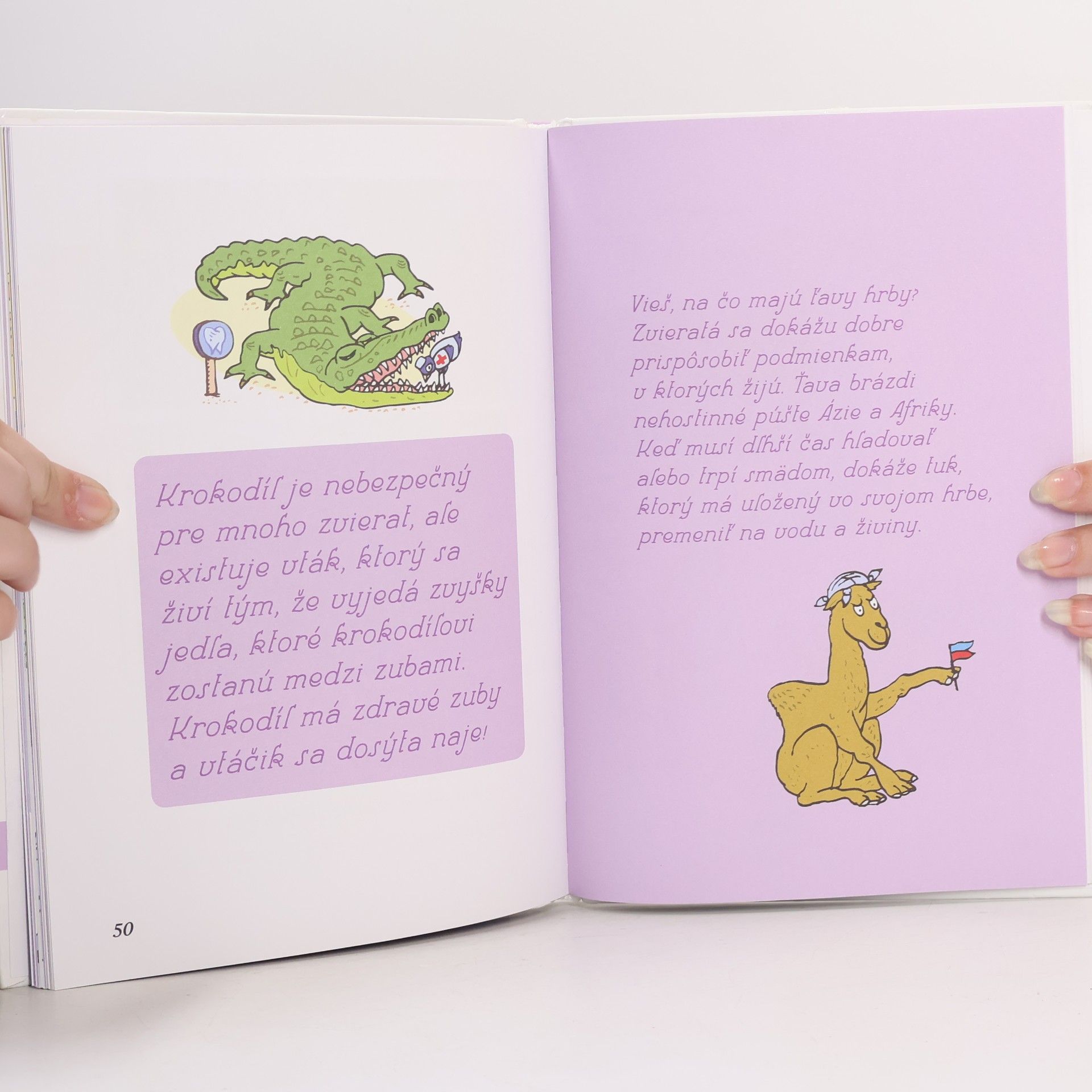 Autorenkollektiv Naša príroda hravo