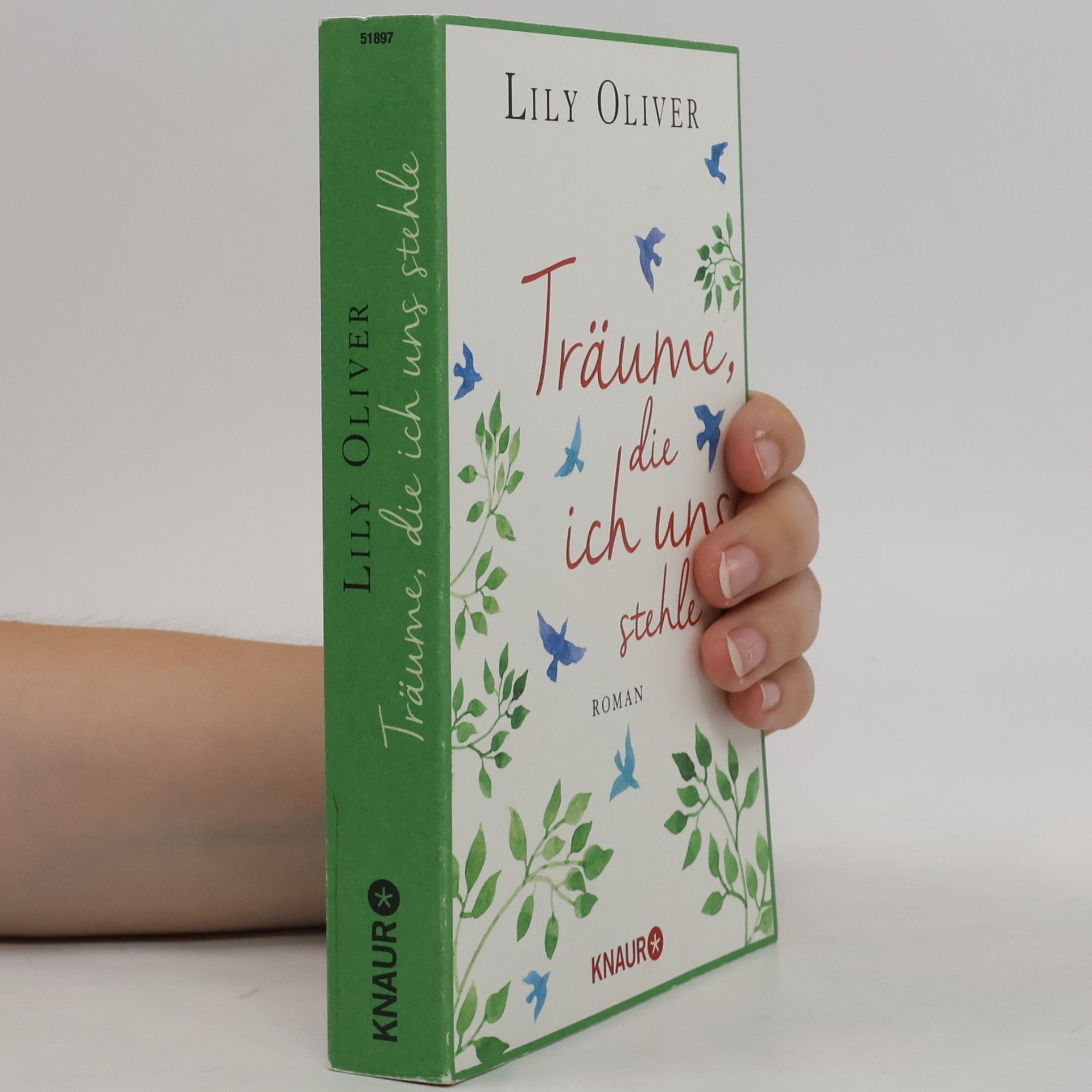 Lily Oliver Träume, die ich uns stehle