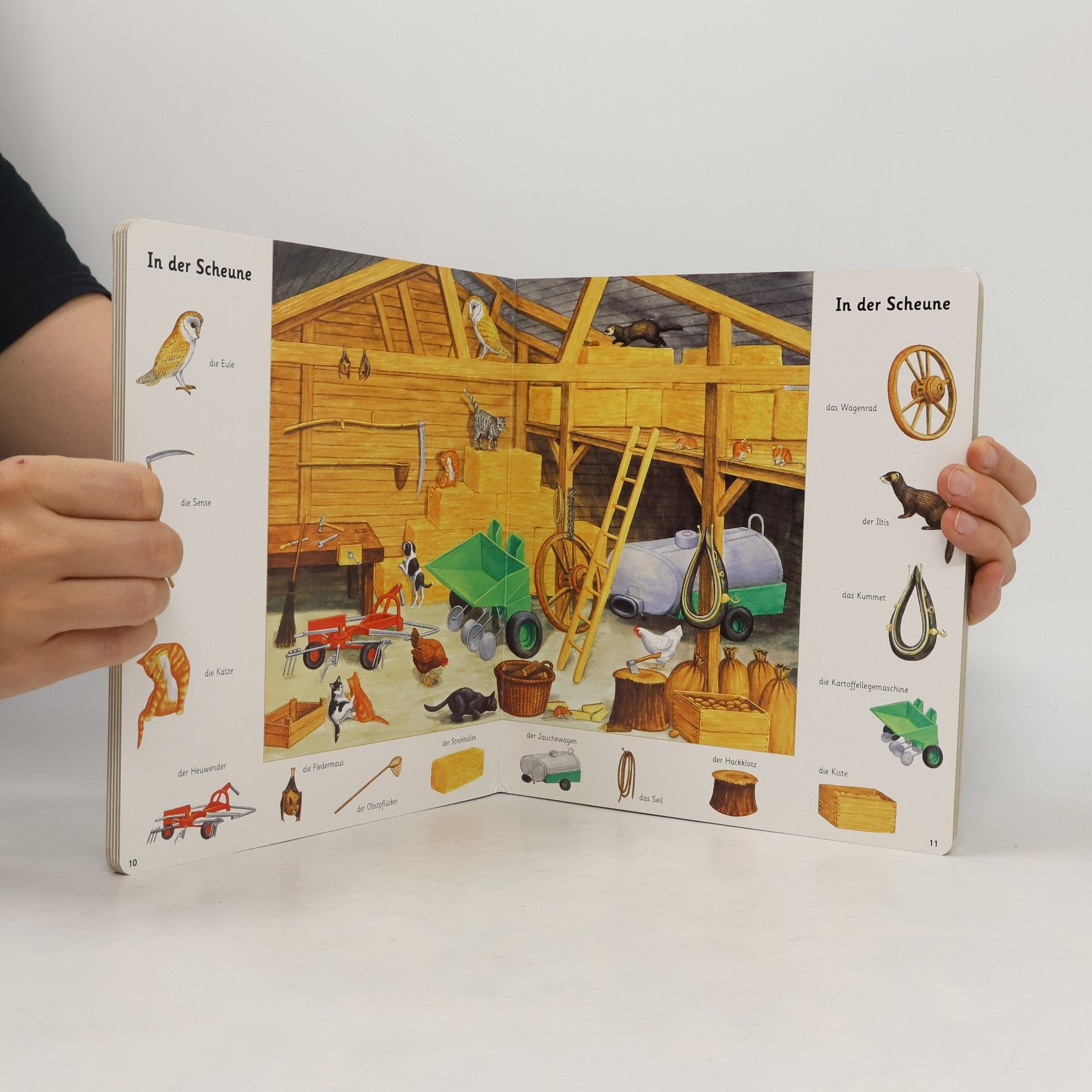 Autorenkollektiv Mein buntes Bauernhofbuch