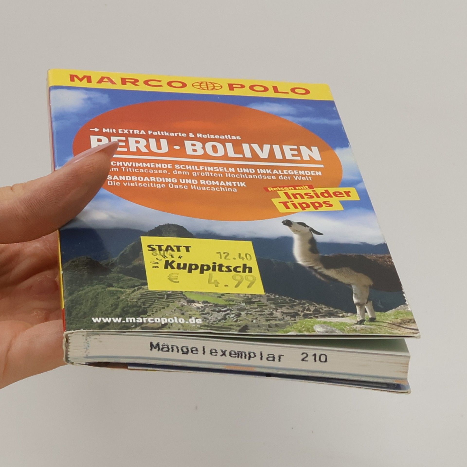 Gesine Froese Peru, Bolivien