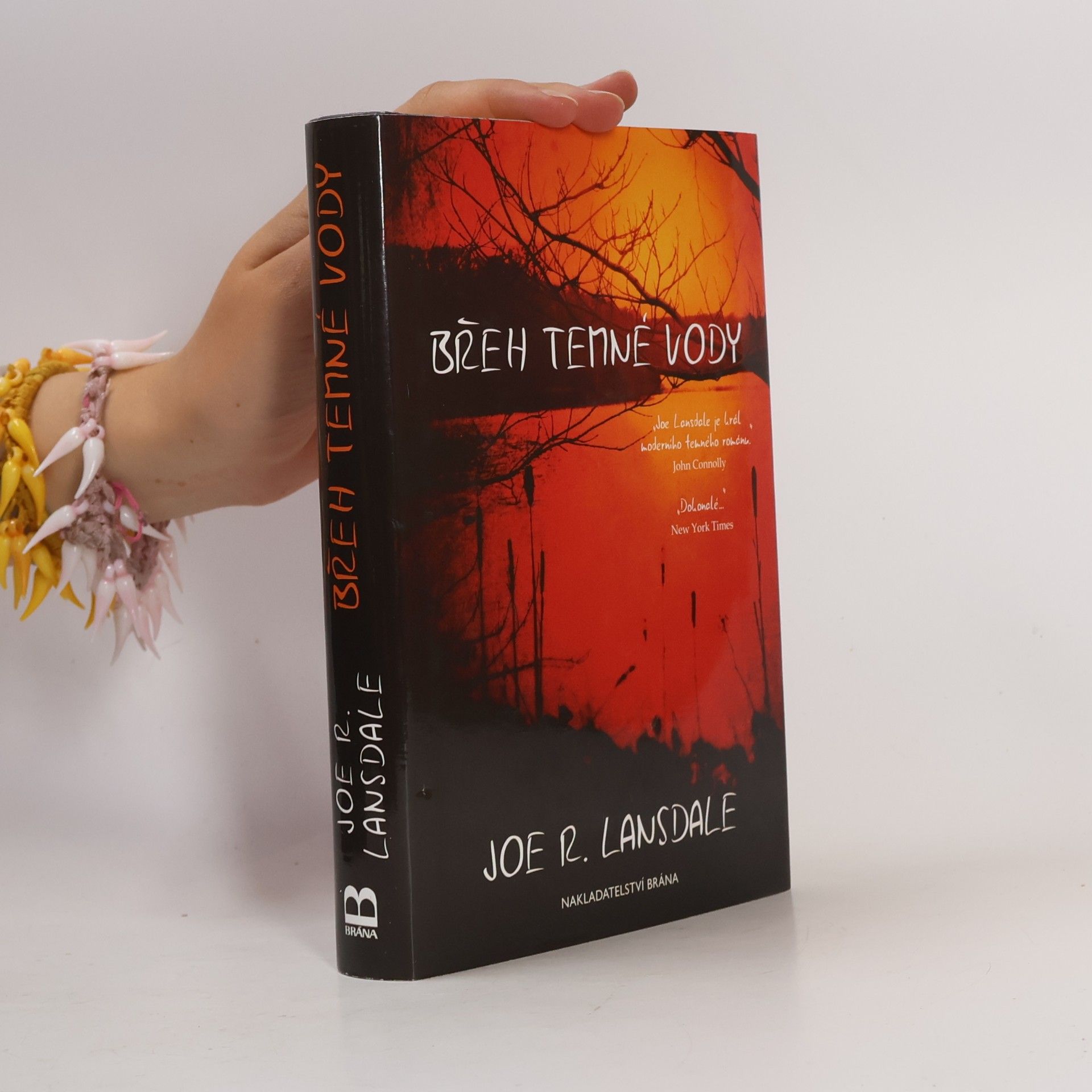 Joe R. Lansdale Břeh temné vody