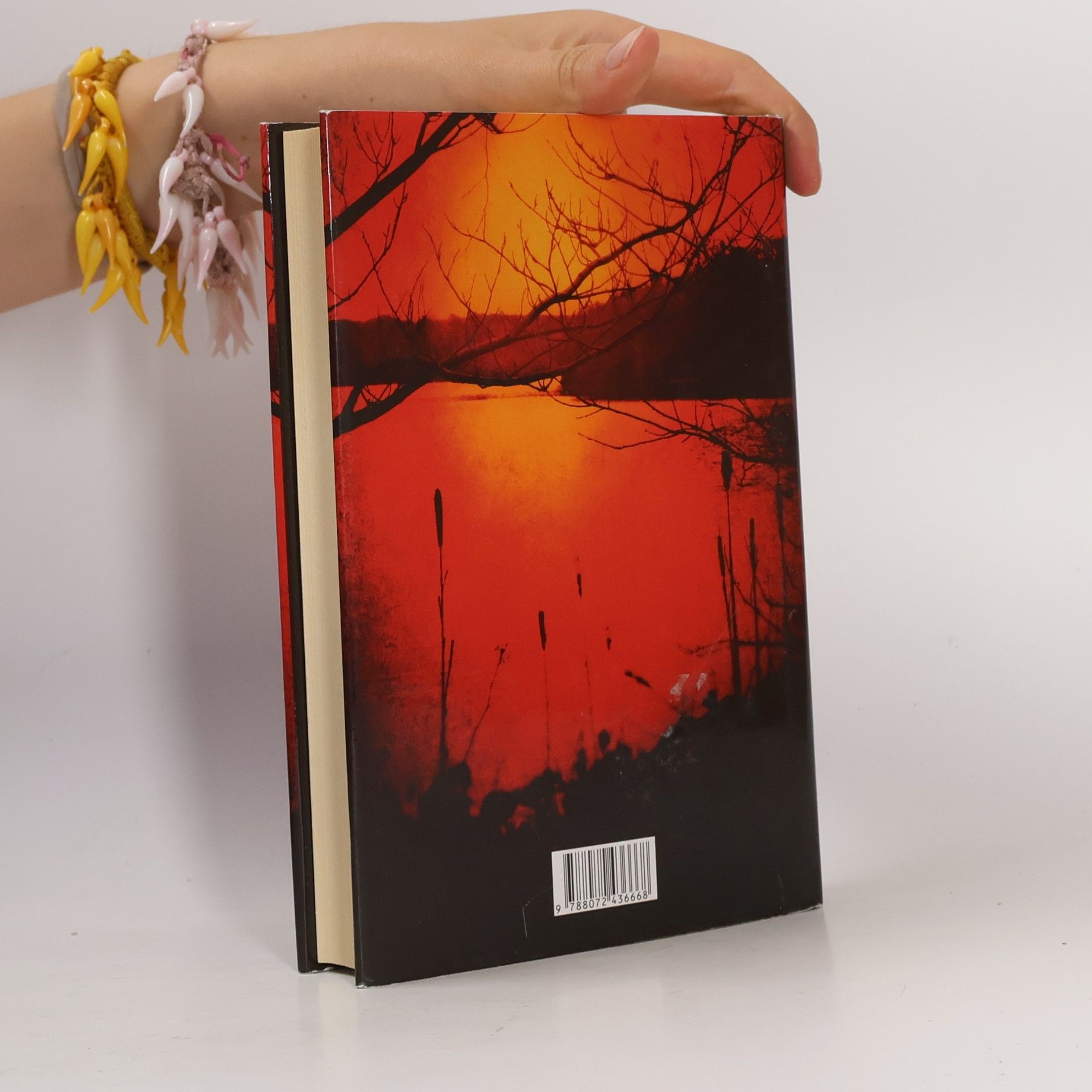 Joe R. Lansdale Břeh temné vody