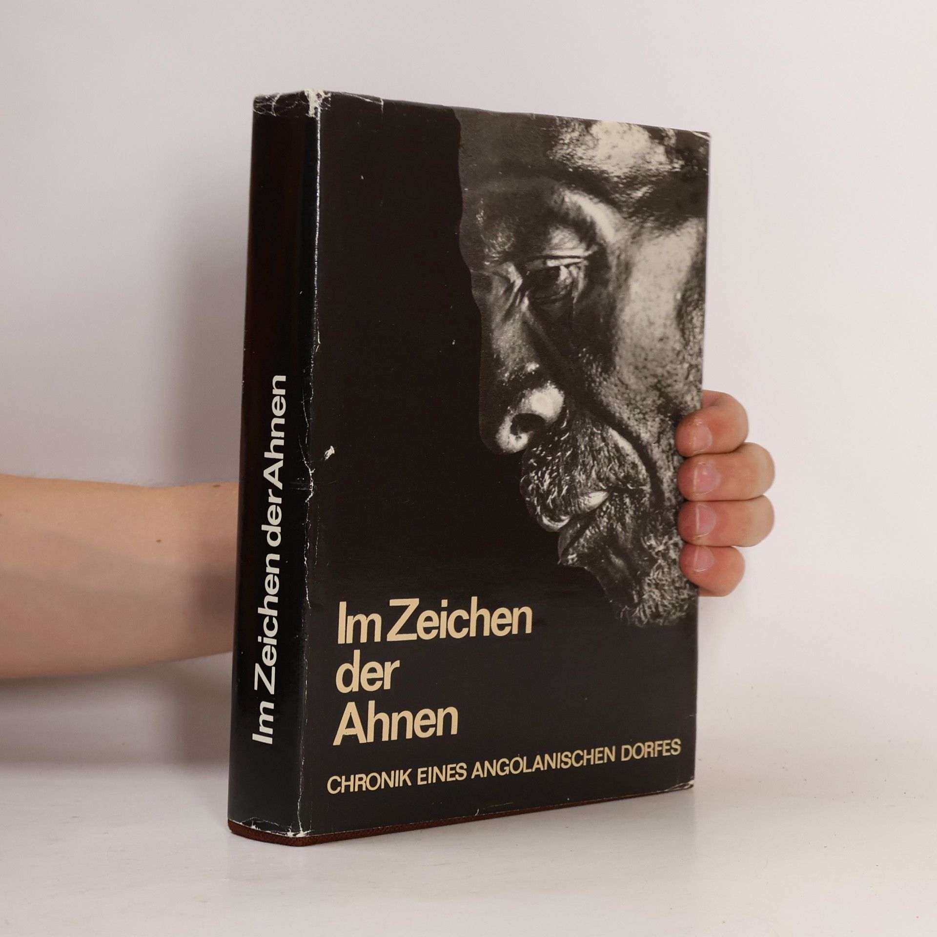 Helfried Scholz Im Zeichen der Ahnen