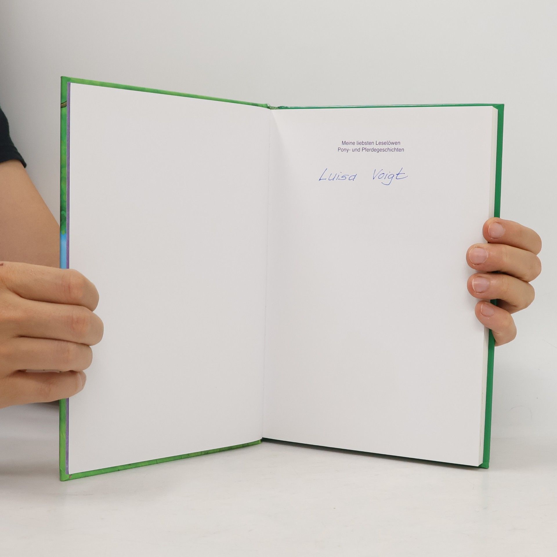 Collectif d'auteurs Meine liebsten Leselöwen. Pony- und Pferdegeschichten