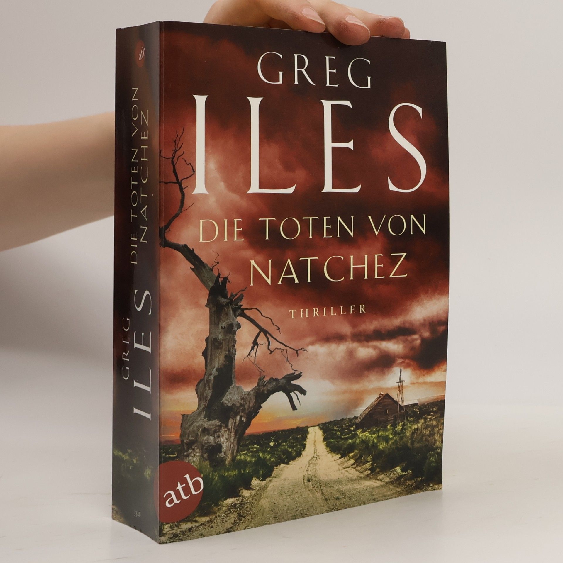 Greg Iles Die Toten von Natchez