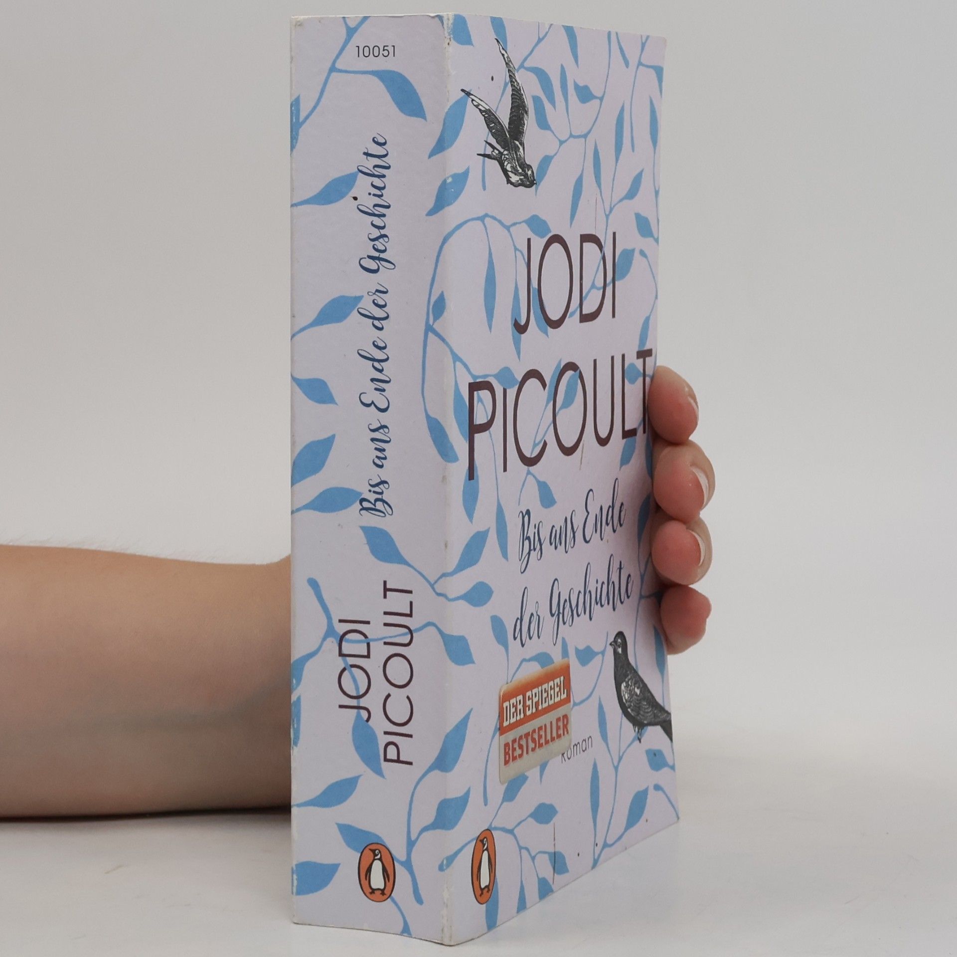 Jodi Picoult Bis ans Ende der Geschichte