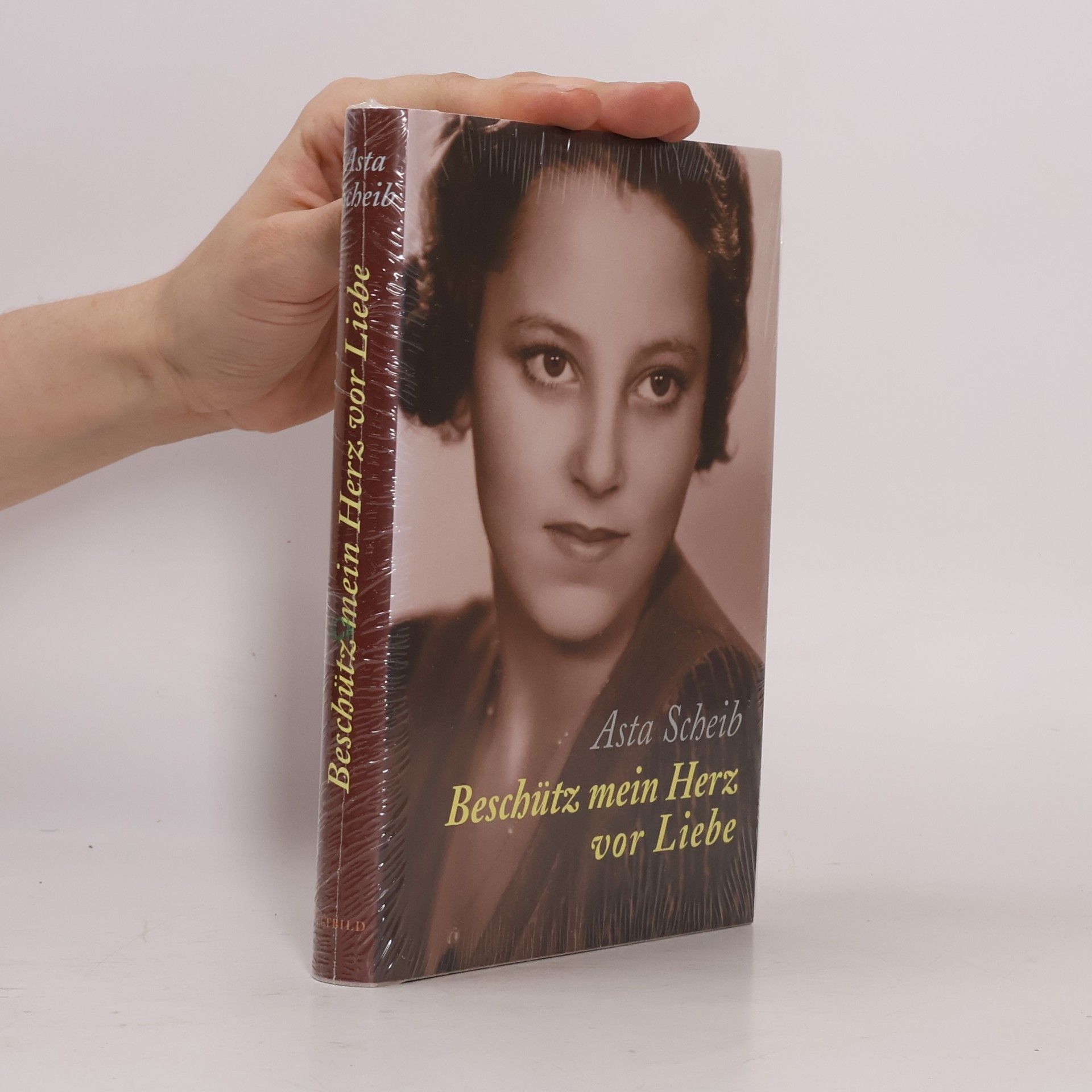 Asta Scheib Beschütz mein Herz vor Liebe