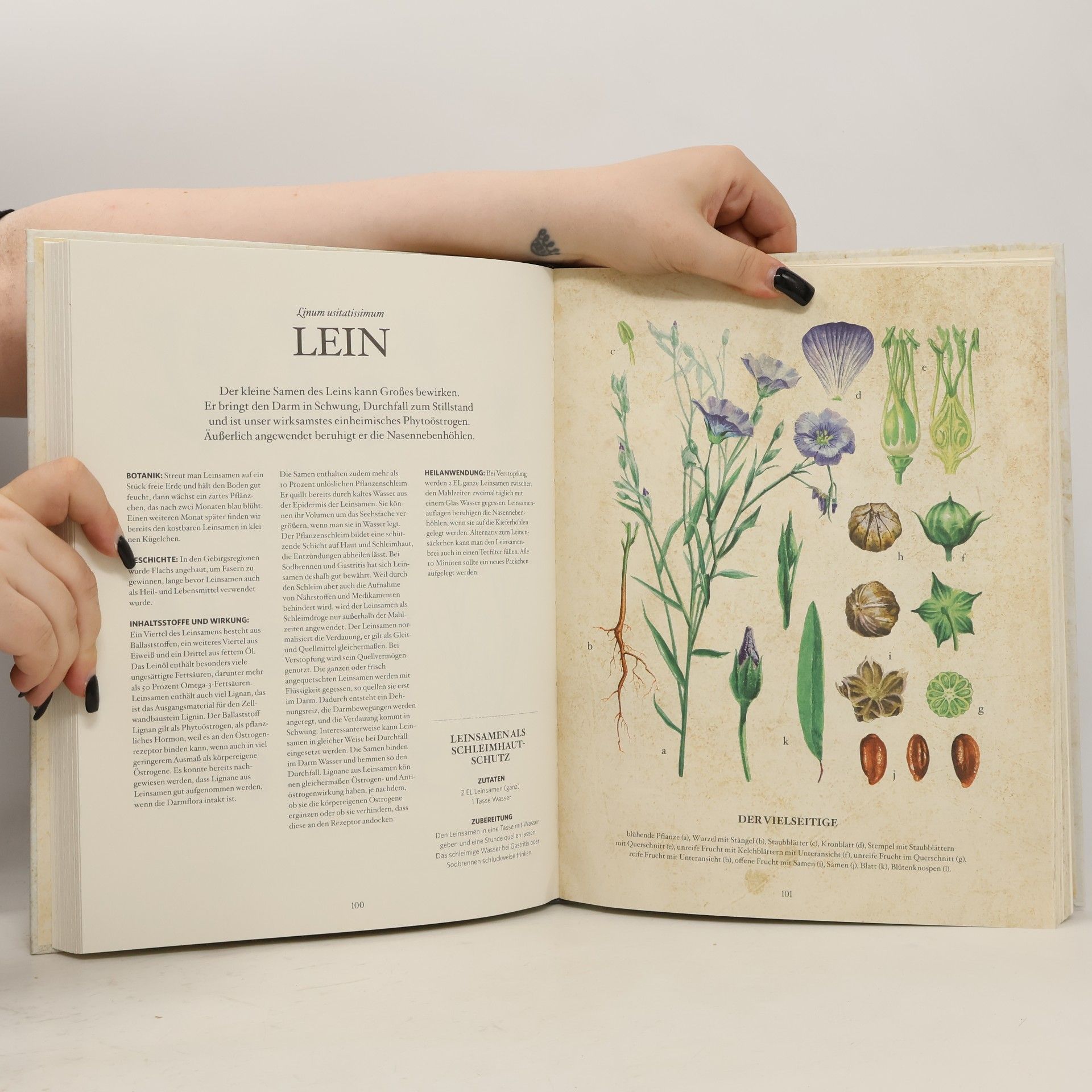Karin Buchart Die Natur-Apotheke