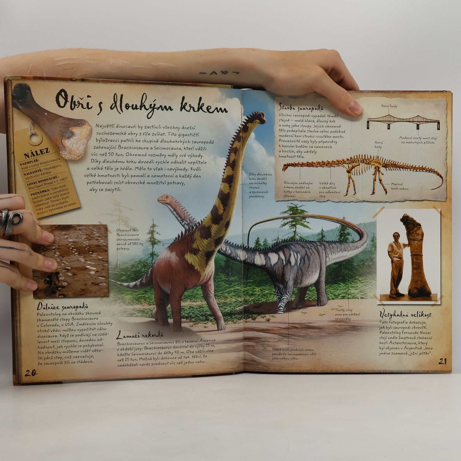 Jen Green Lovci dinosaurů