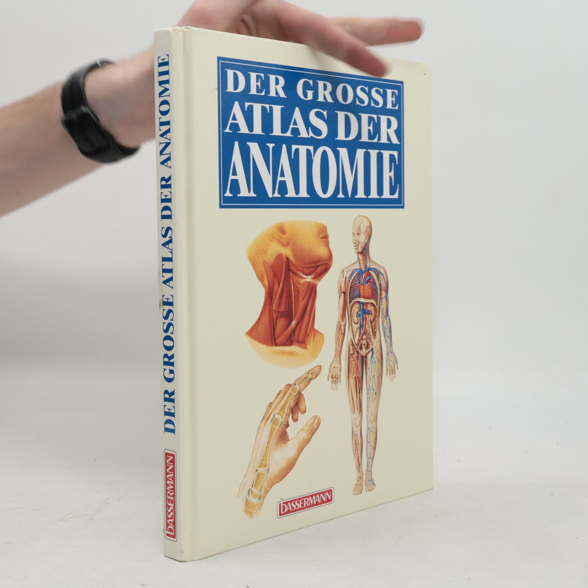Joachim Lauen Der grosse Atlas der Anatomie