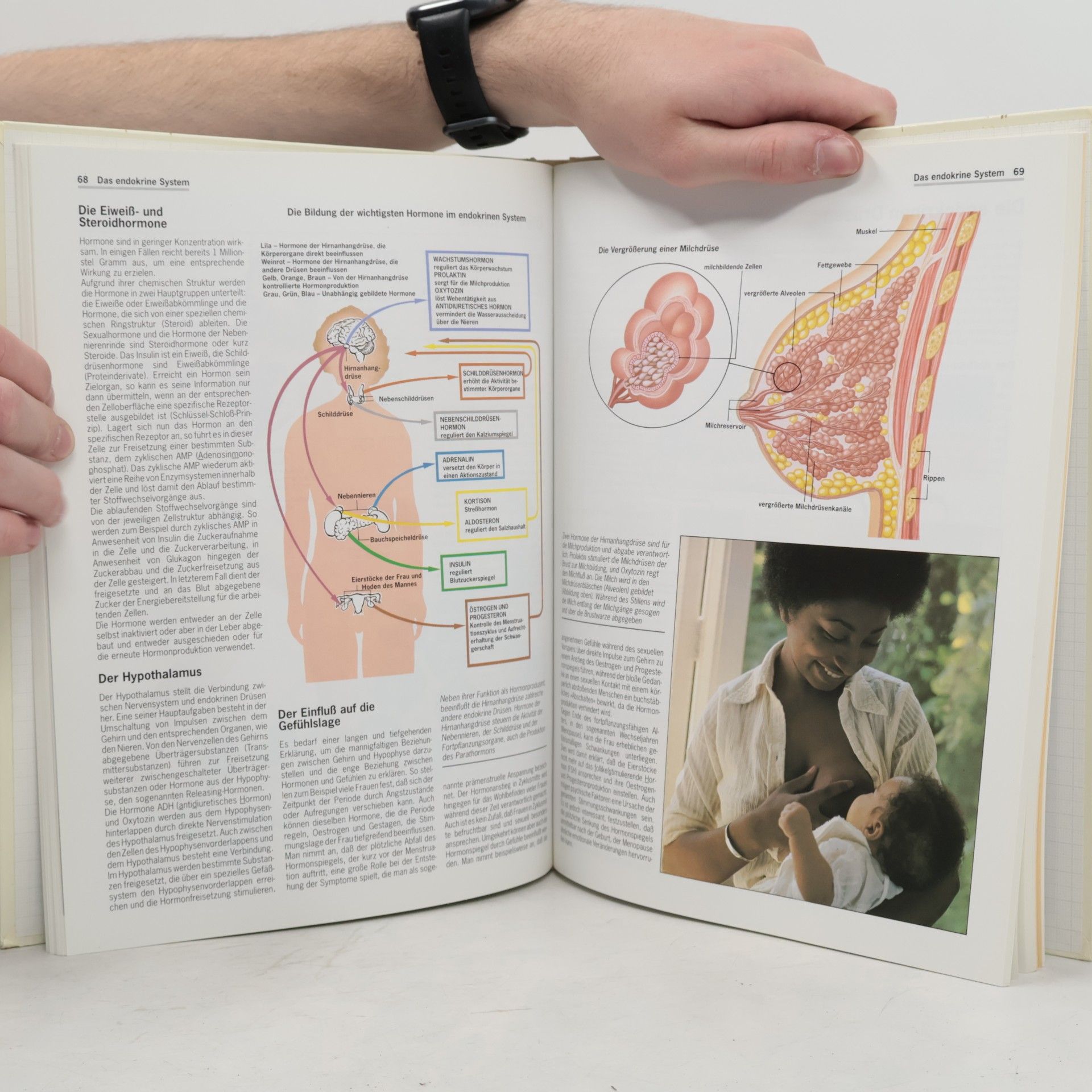 Joachim Lauen Der grosse Atlas der Anatomie