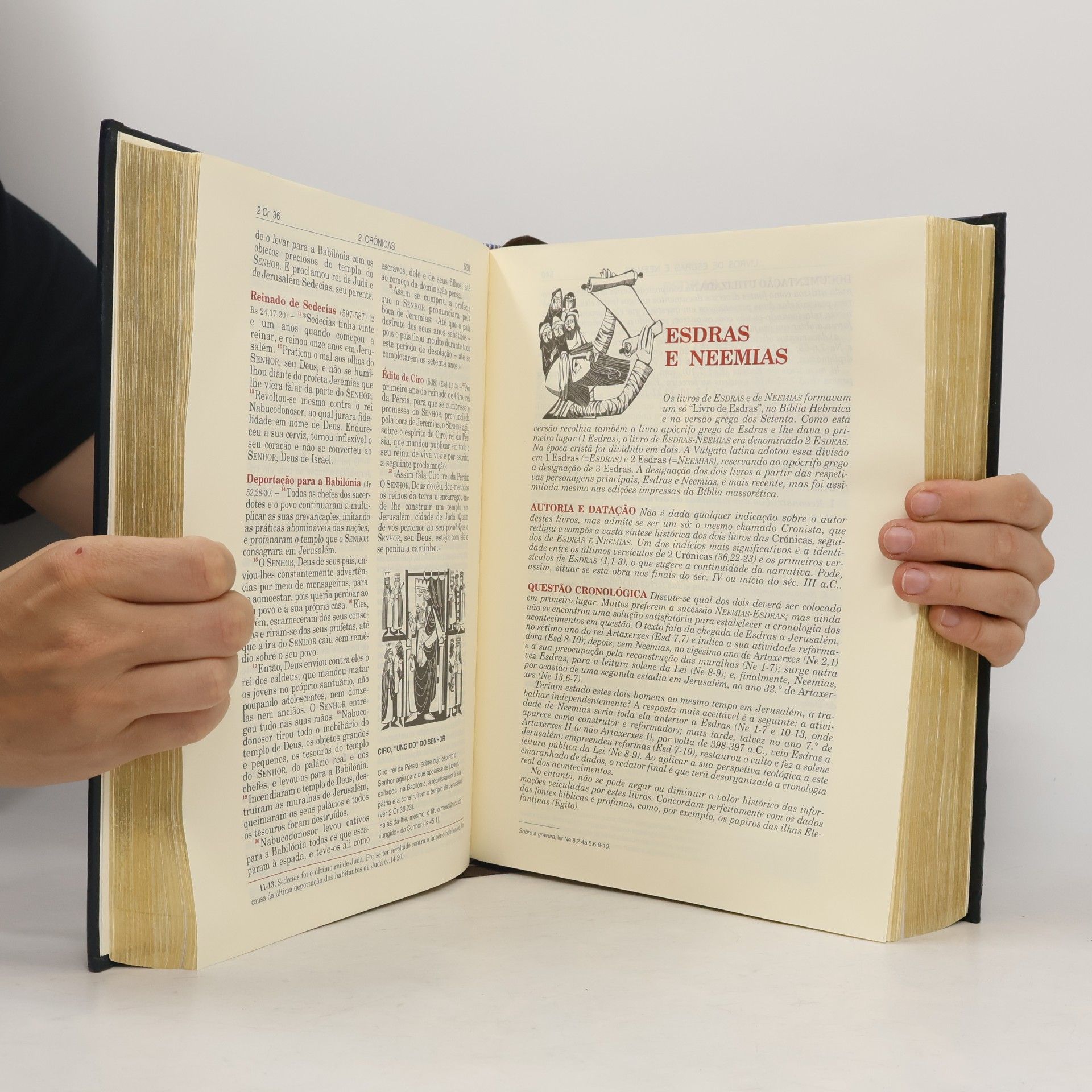 Herculano Alves Bíblia versão dos textos originais