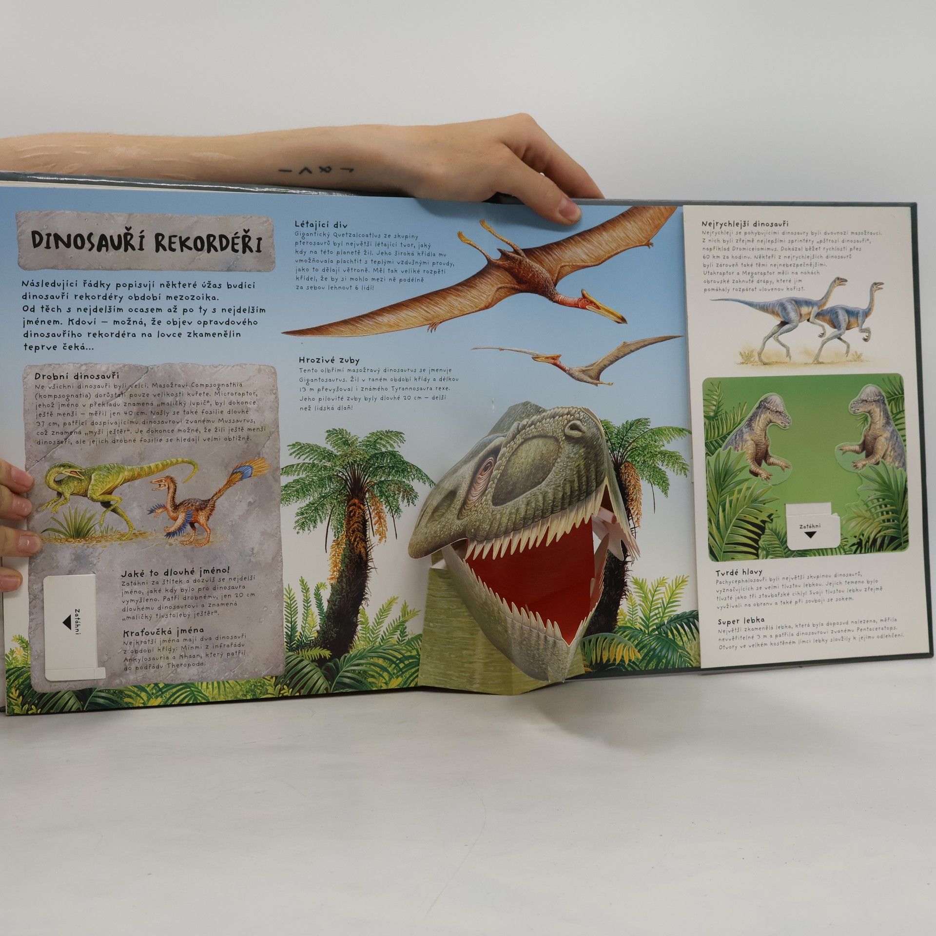 Richard Dungworth Dinosauři - Trojrozměrná fakta