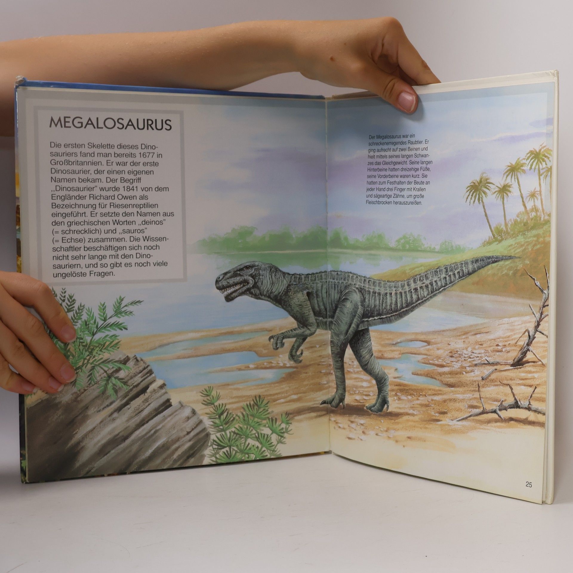Lindsey Selley Dinosaurier