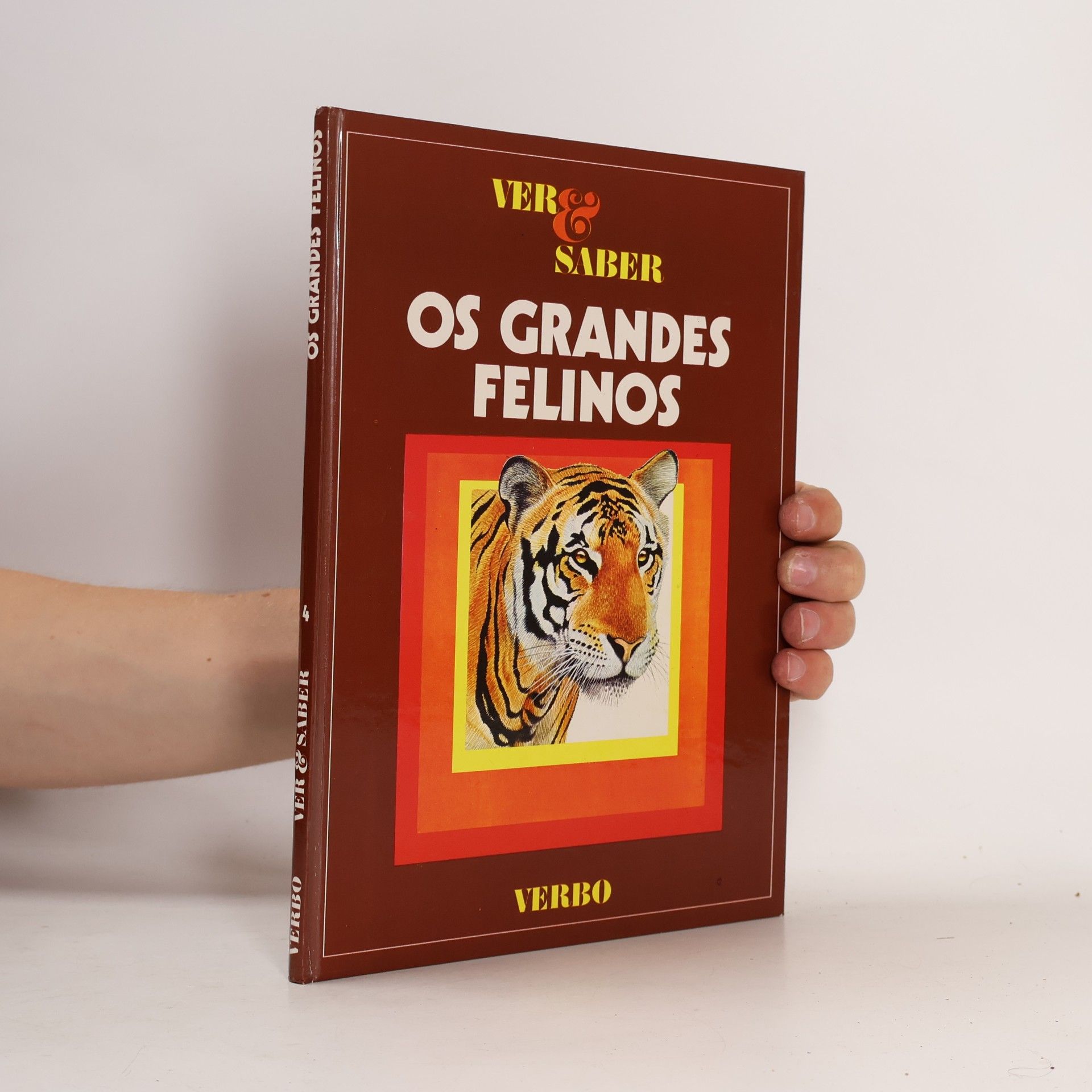 Autorenkollektiv Os Grandes Felinos