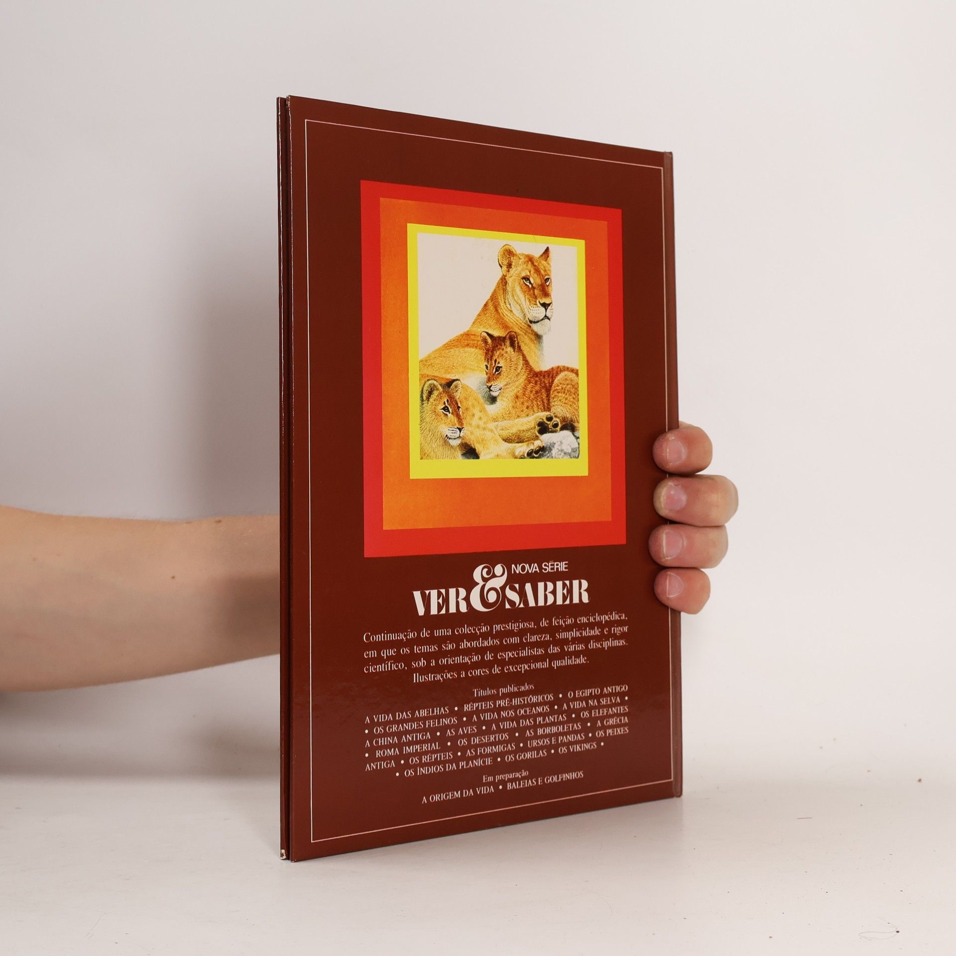 Autorenkollektiv Os Grandes Felinos