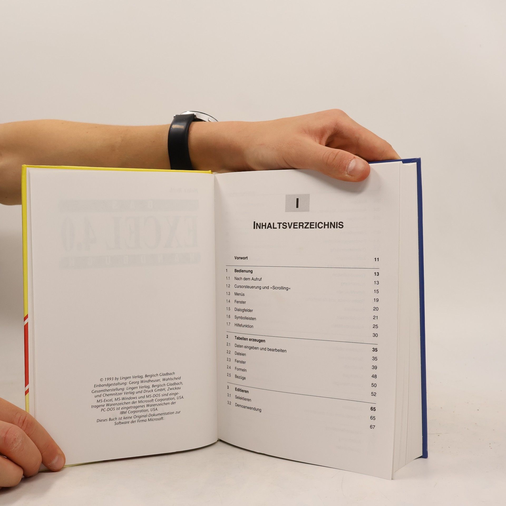 Heinz Roth Das Excel 4.0 Handbuch