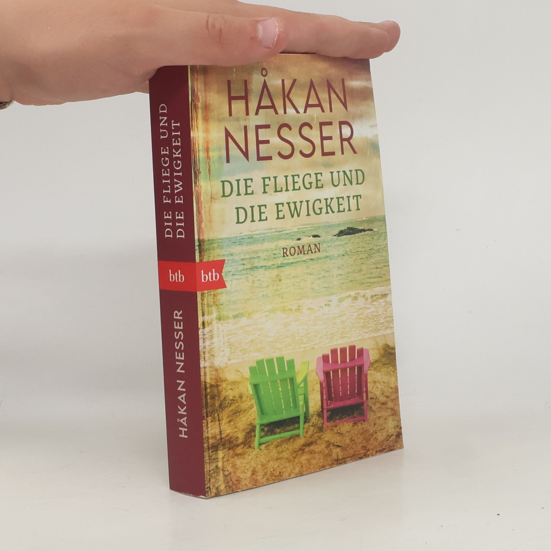 Håkan Nesser Die fliege und die Ewigkeit