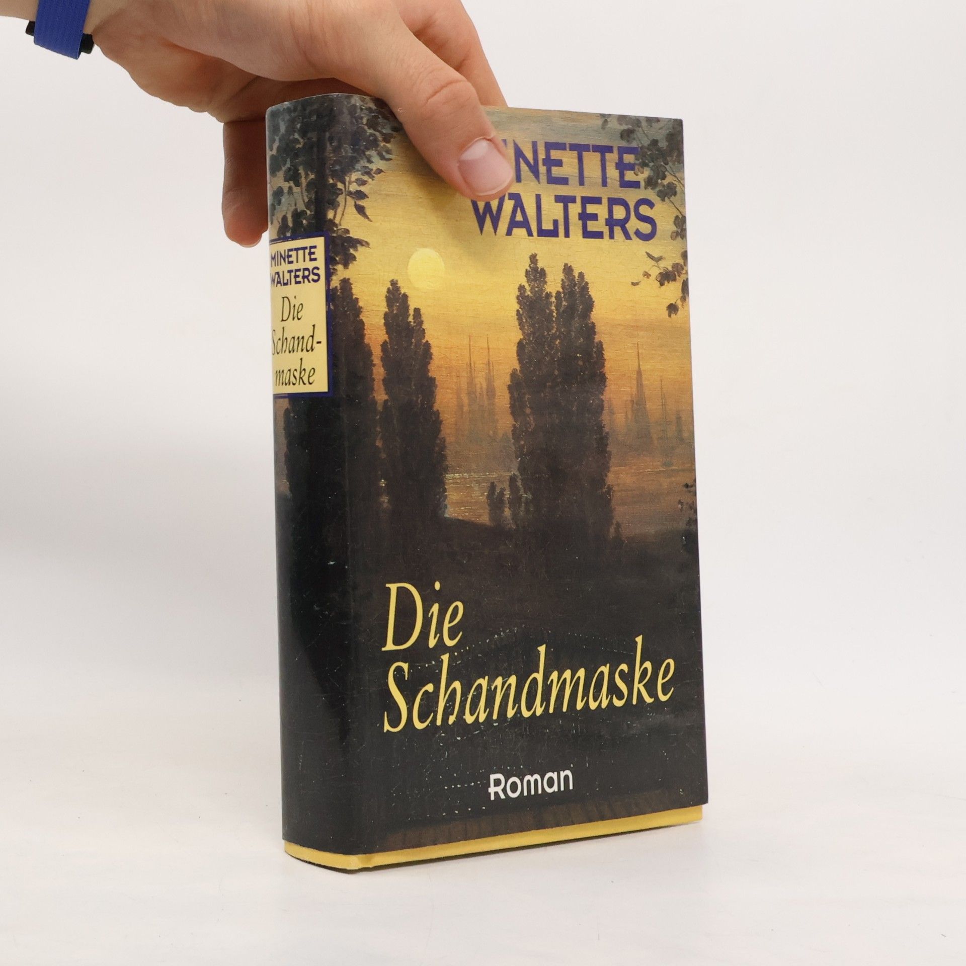 Minette Walters Die Schandmaske