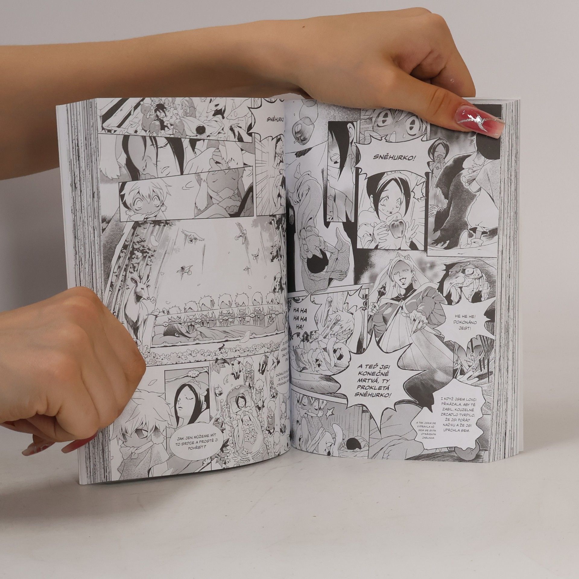 Kei Ishiyama Manga příběhy bratří Grimmů
