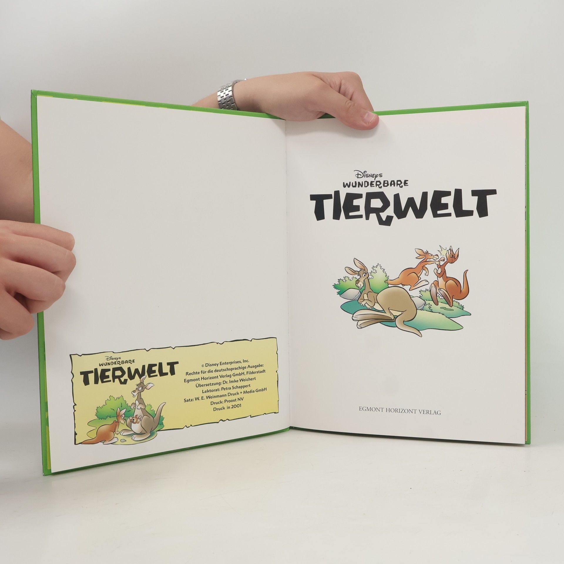Autorenkollektiv Wunderbare Tierwelt. Die Kängurus