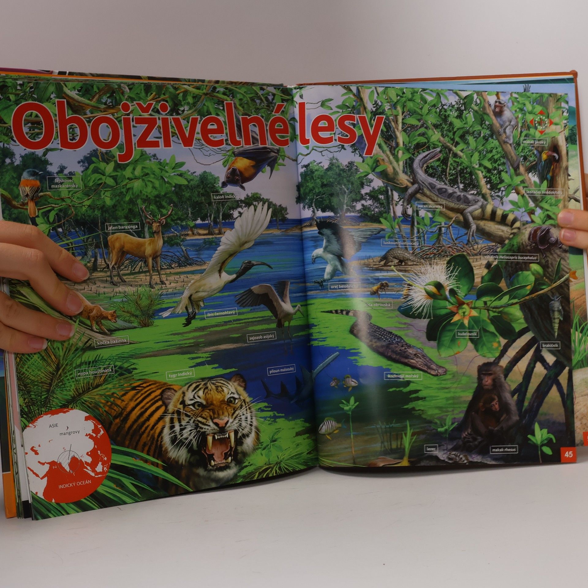 Zdík Dušek Zázračná příroda: Řeky a jezera