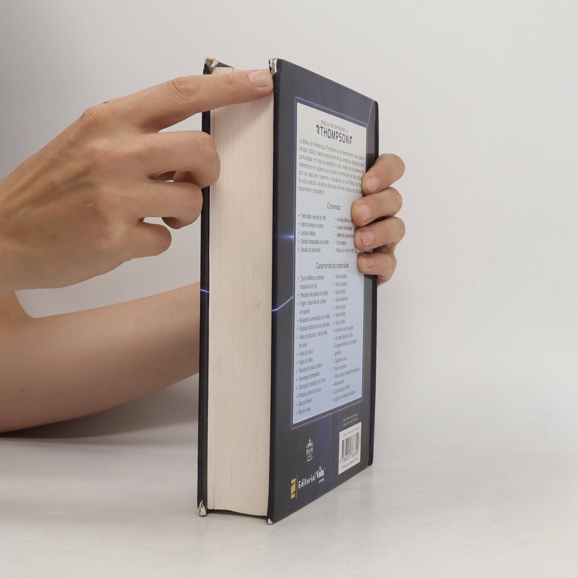 Thompson Biblia de Referencia Thompson-RVR 1960-Milenio