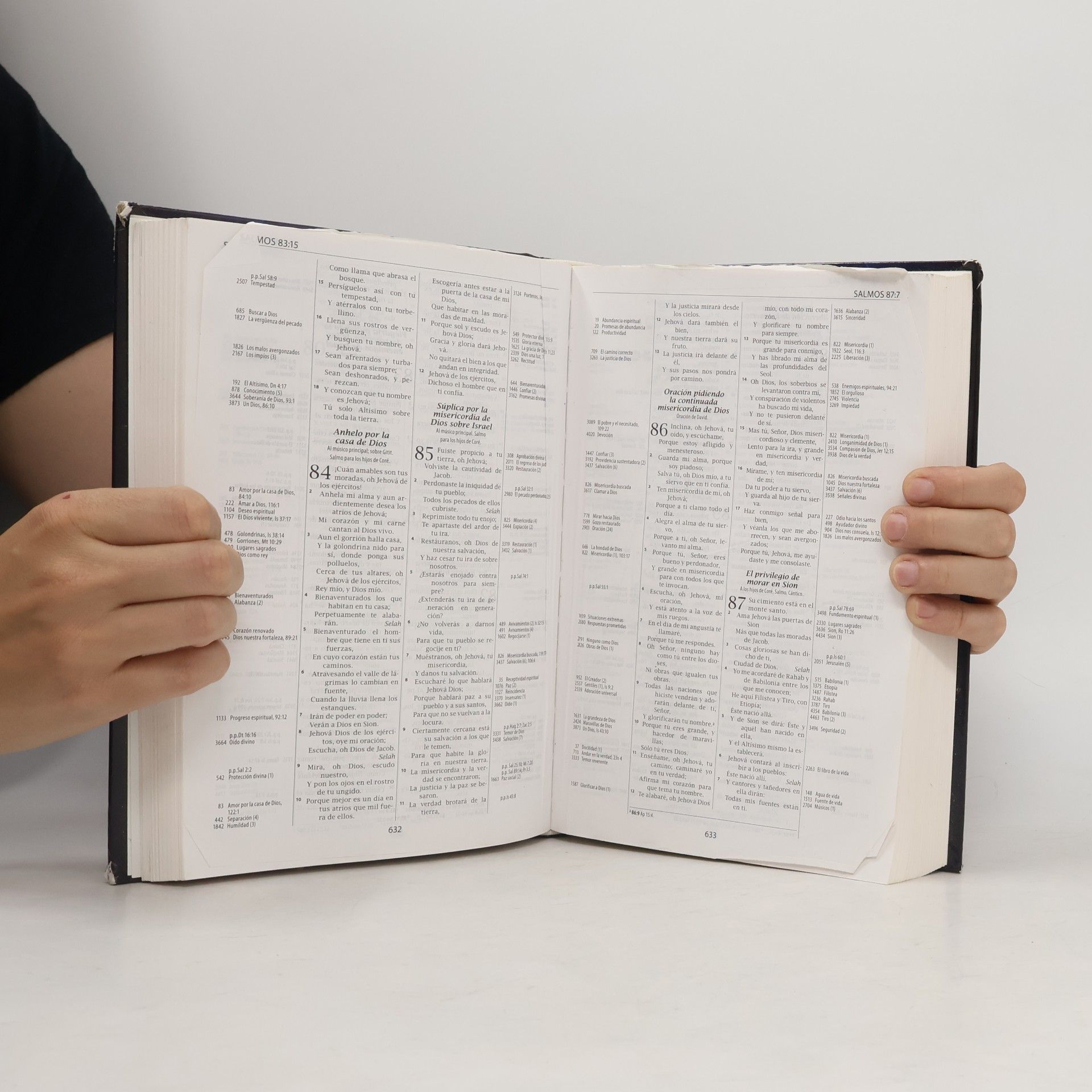 Thompson Biblia de Referencia Thompson-RVR 1960-Milenio