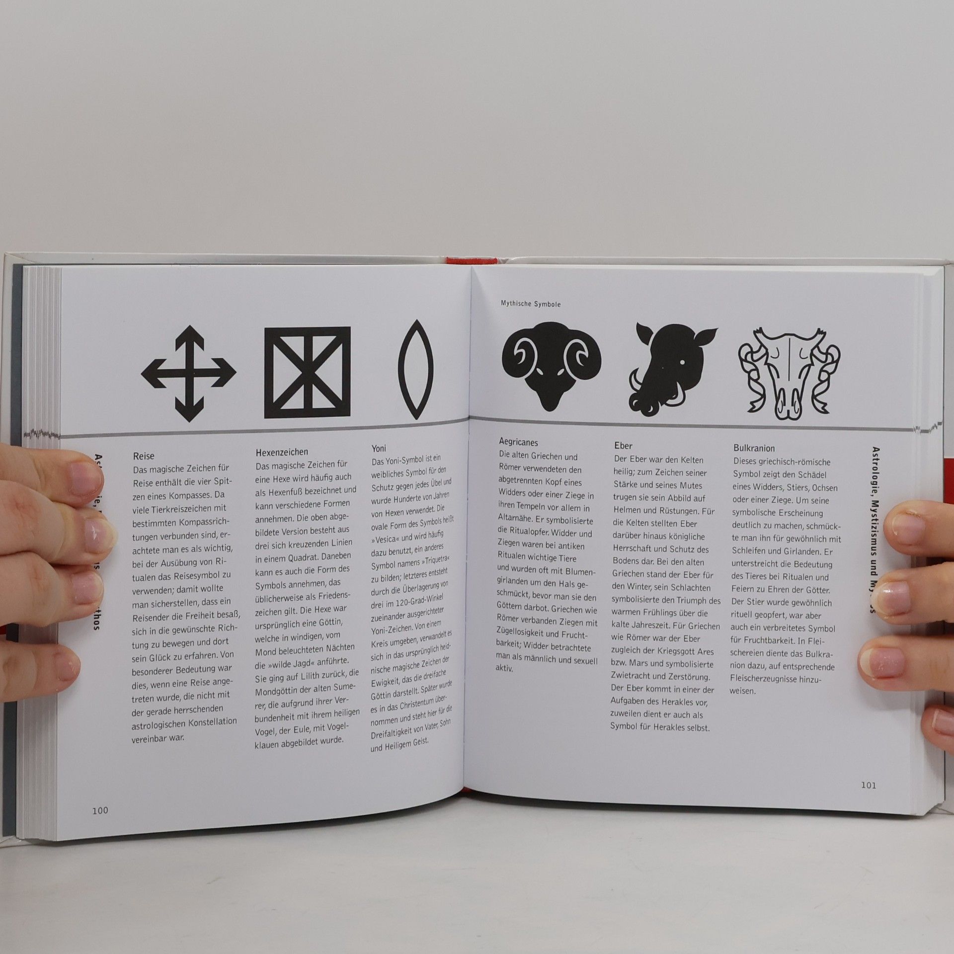 Sandra Forty Handbuch Symbole