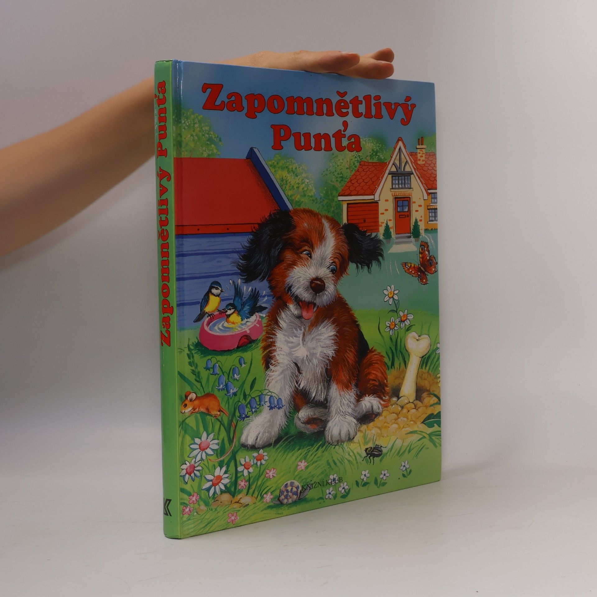 Elke Meinardus Zapomnětlivý Punťa