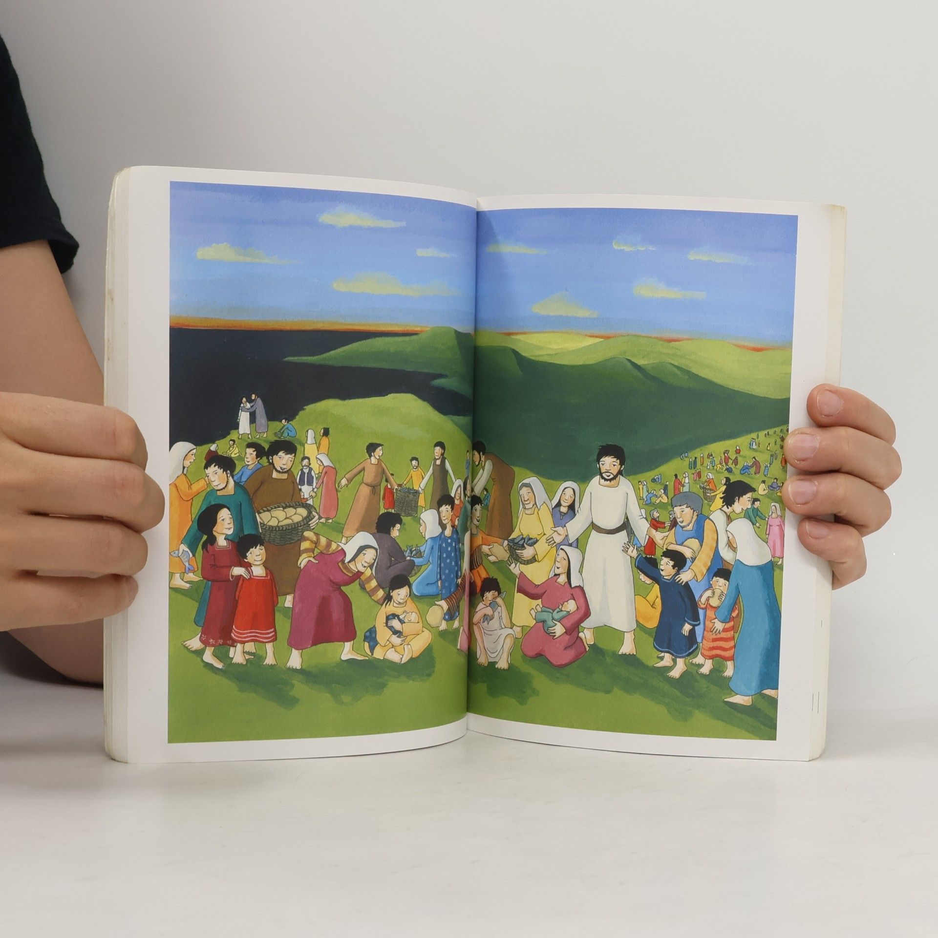 Martina Merckel-Braun Elberfelder Kinderbibel - Neues Testament
