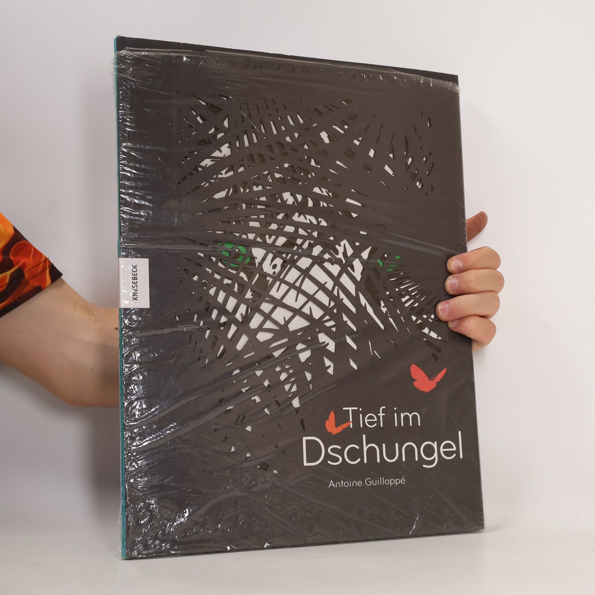Antoine Guilloppé Tief im Dschungel