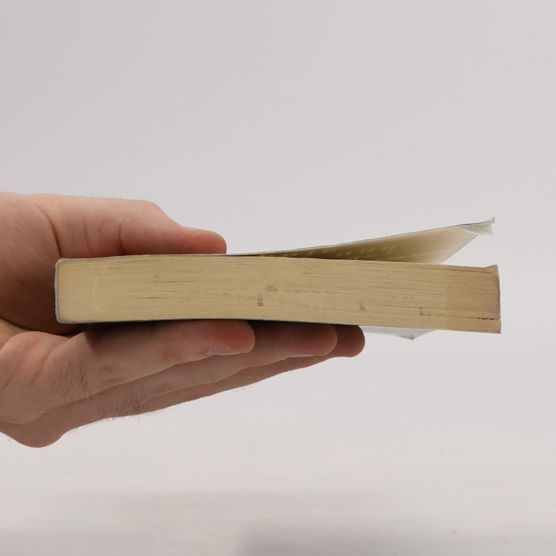 José Saramago Handbuch der Malerei und Kalligraphie