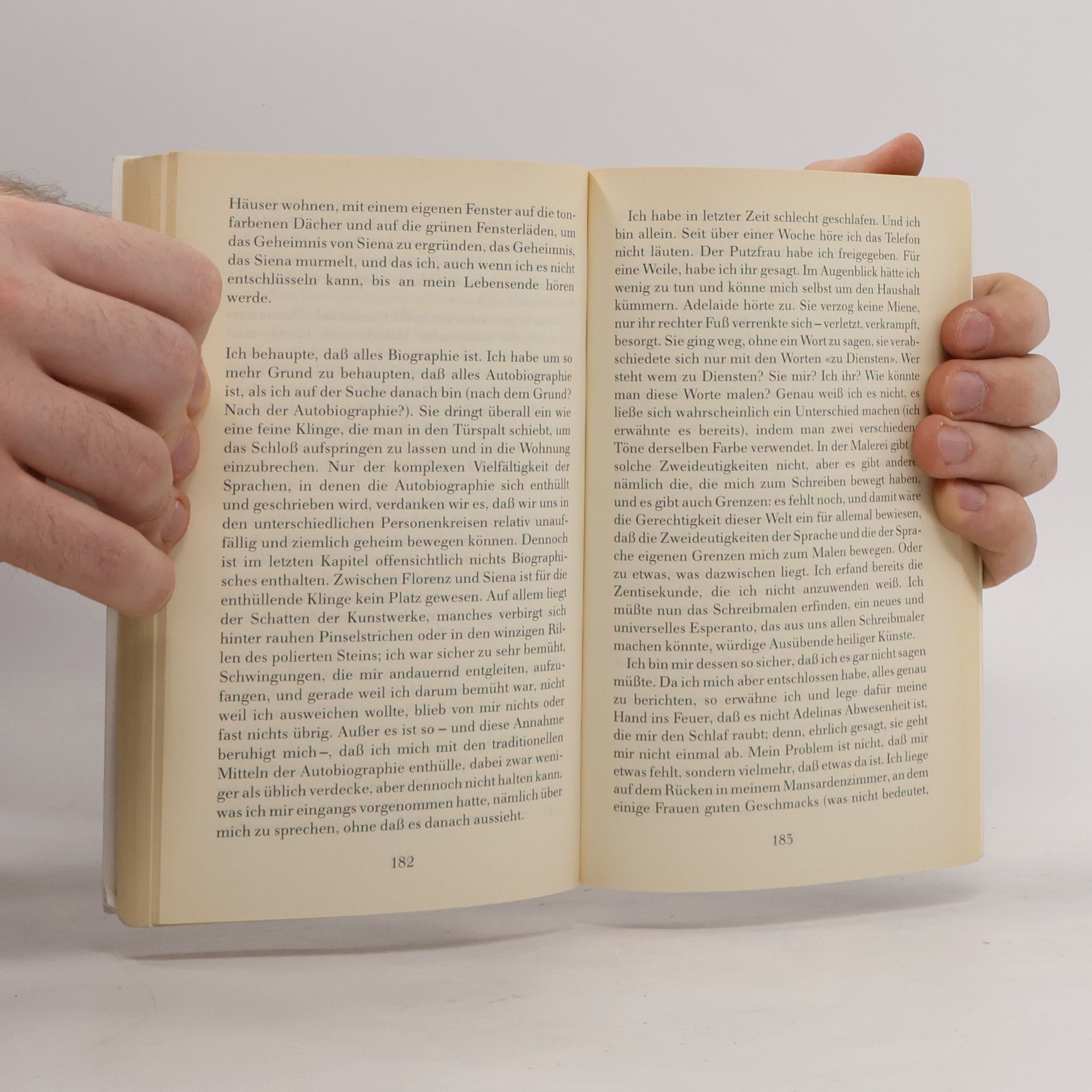 José Saramago Handbuch der Malerei und Kalligraphie