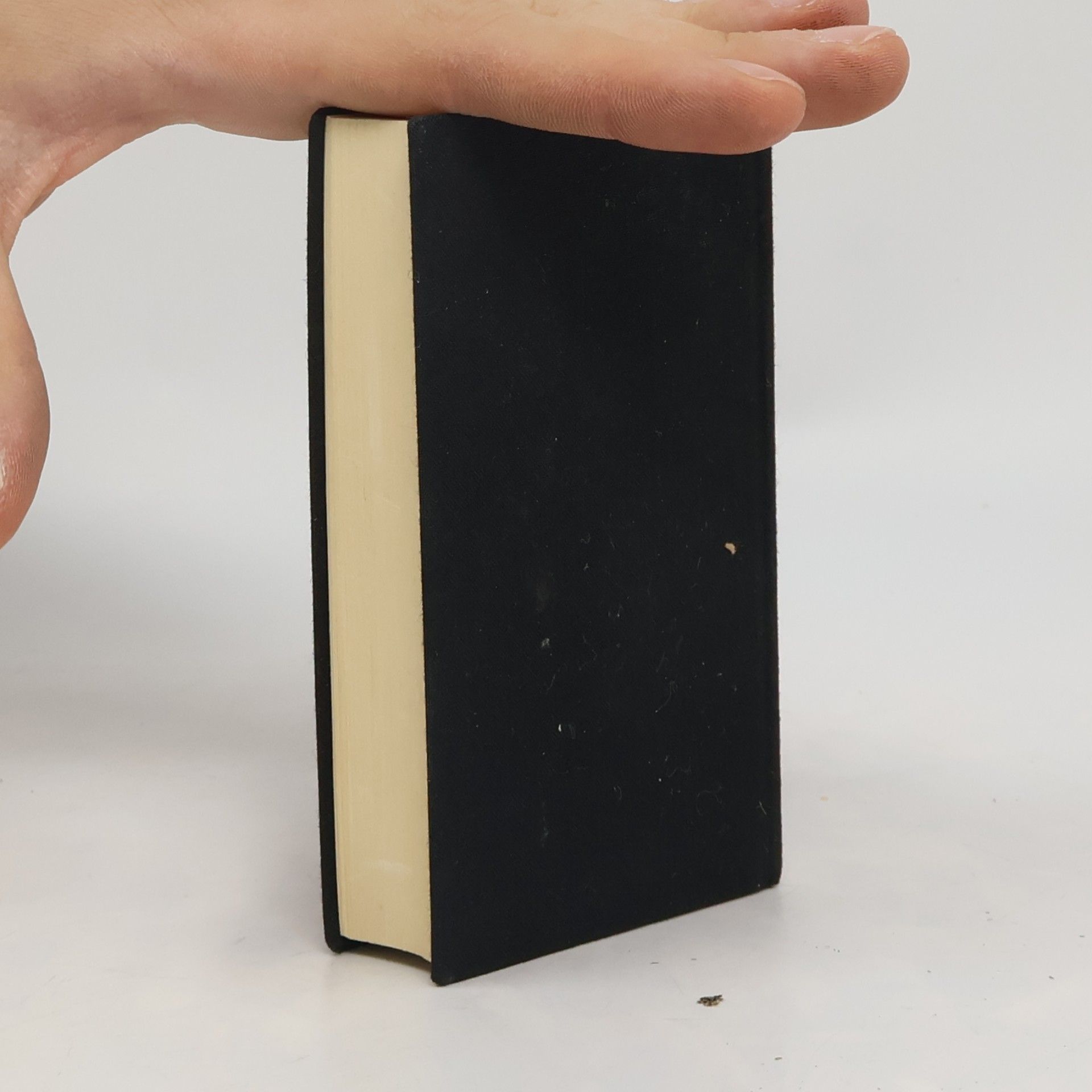 Autorenkollektiv Neues Testament und Psalter