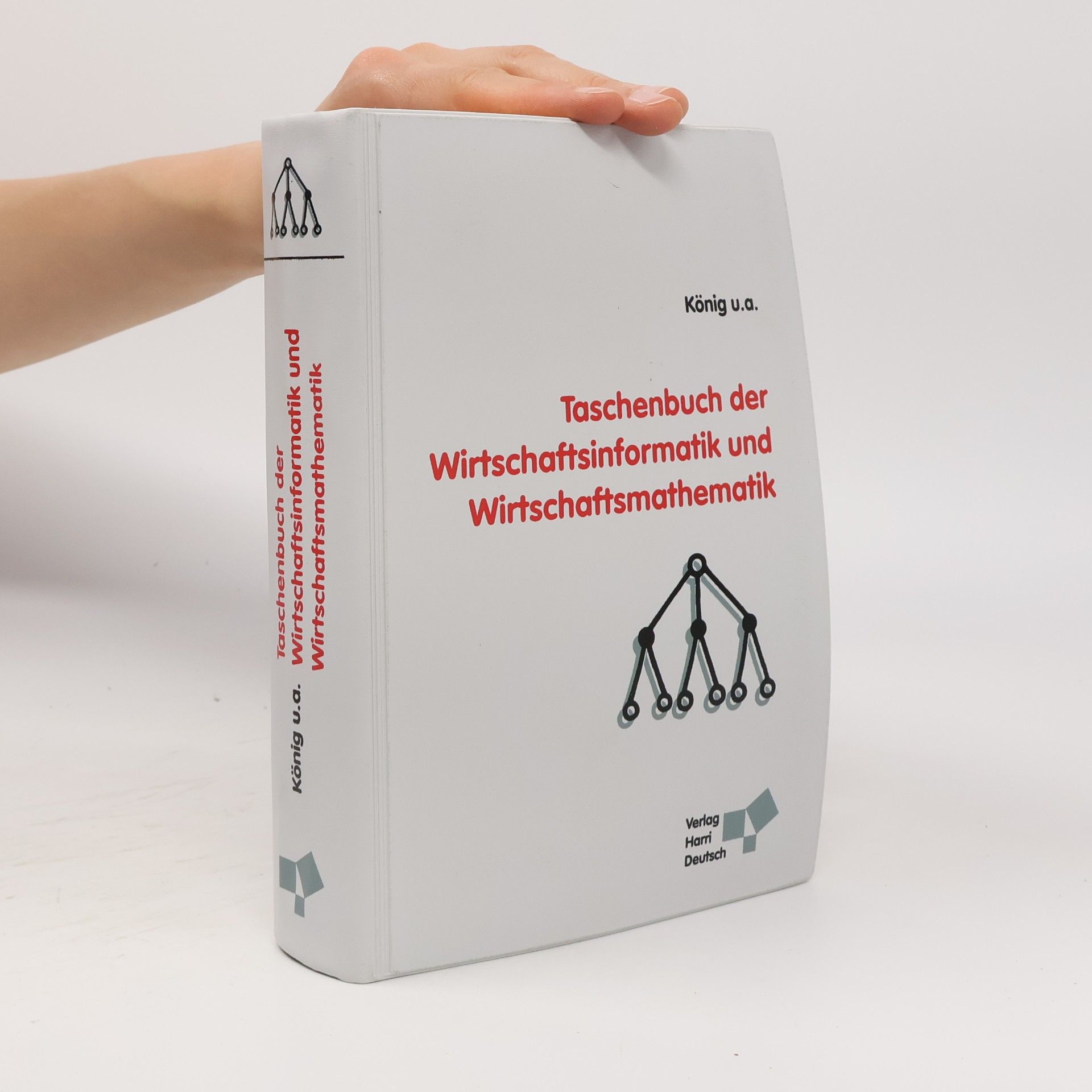 Wolfgang König Taschenbuch der Wirtschaftsinformatik und Wirtschaftsmathematik