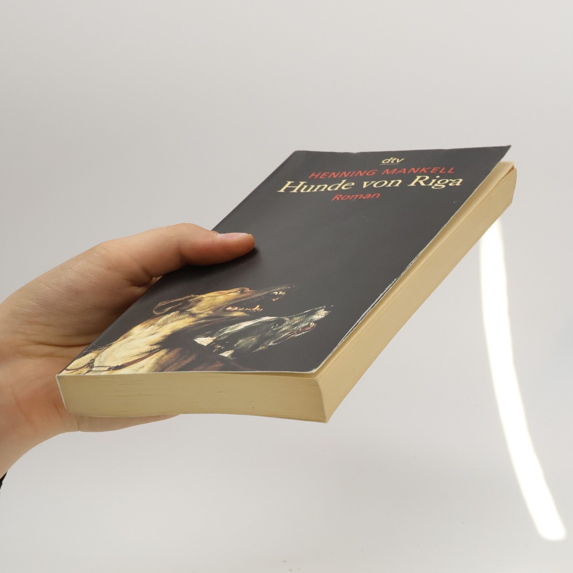 Henning Mankell Hunde von Riga
