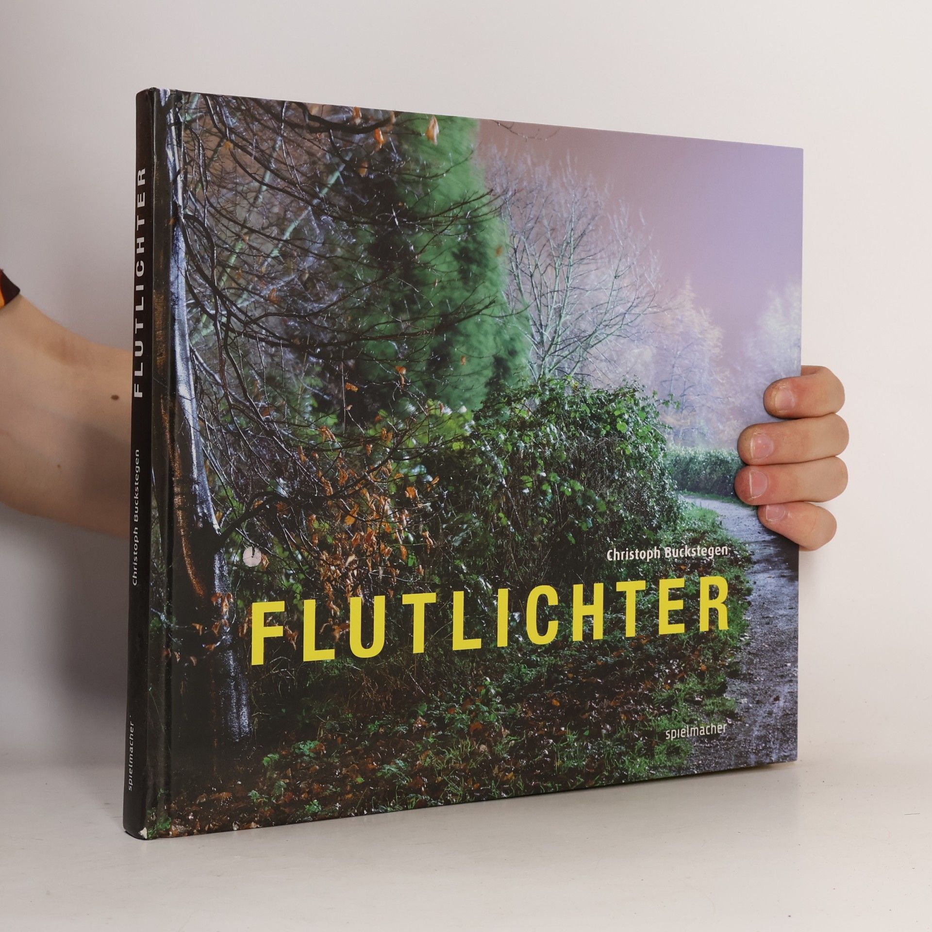 Christoph Buckstegen Flutlichter