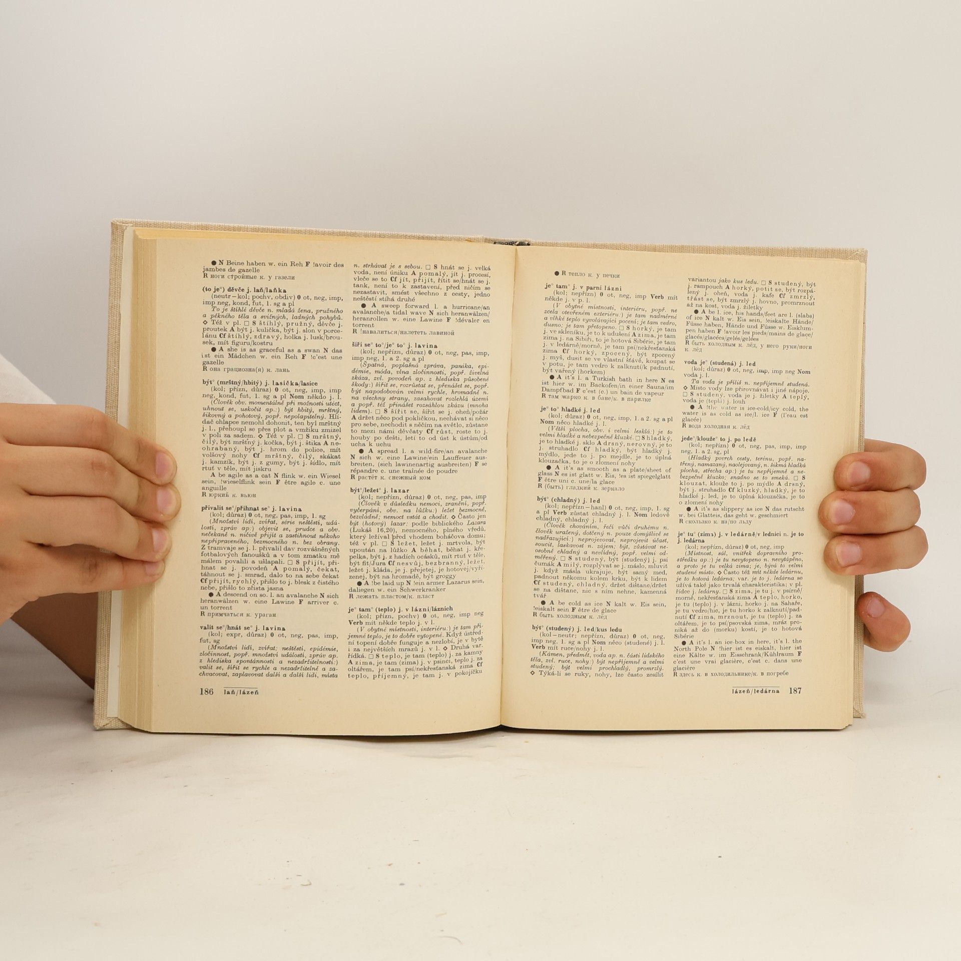 František Čermák Slovník české frazeologie a idiomatiky. Přirovnání