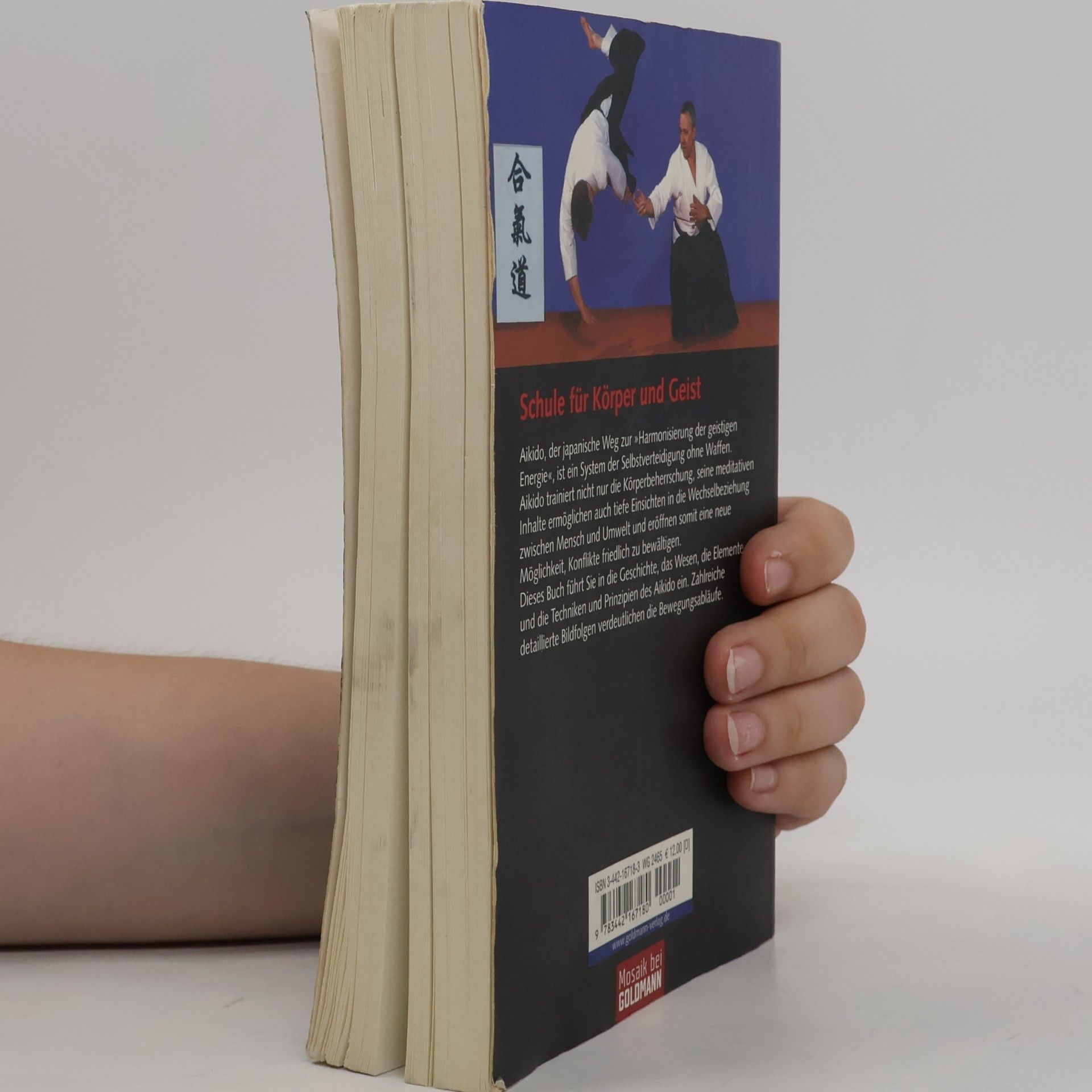 Rolf Brand Aikido