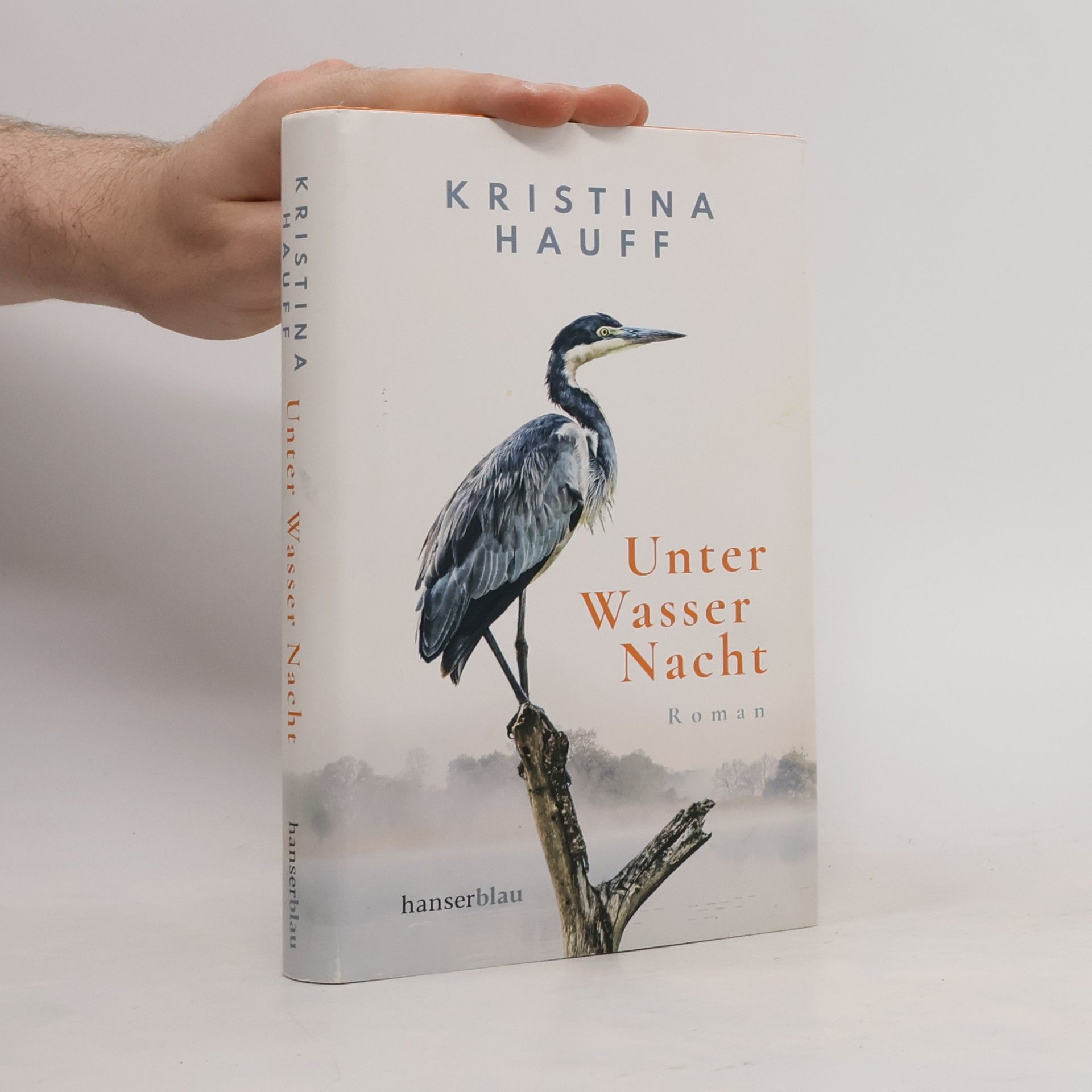 Kristina Hauff Unter Wasser Nacht