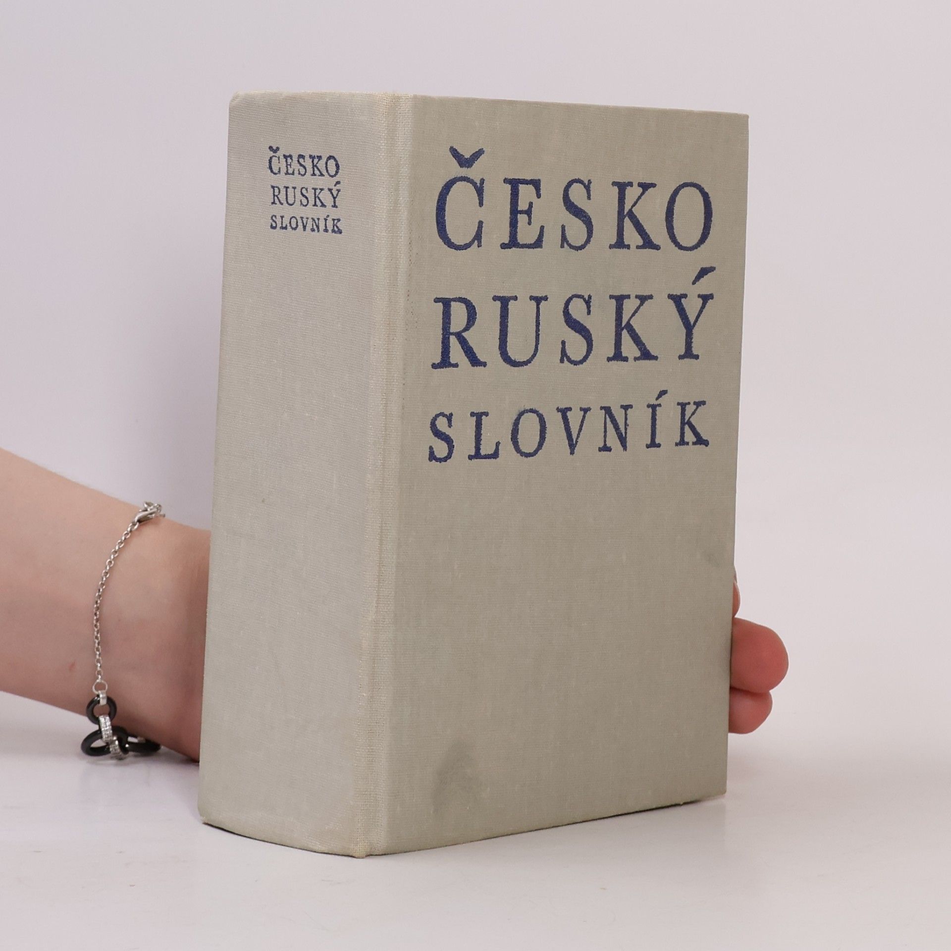 Various authors Česko-ruský slovník