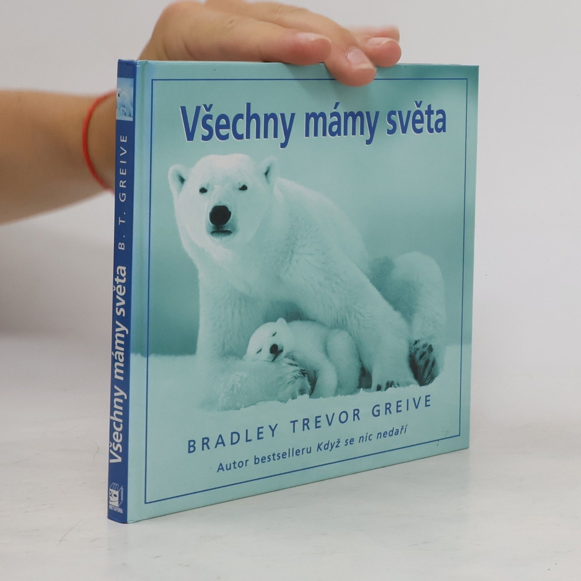 Greive Bradley Trevor Všechny mámy světa