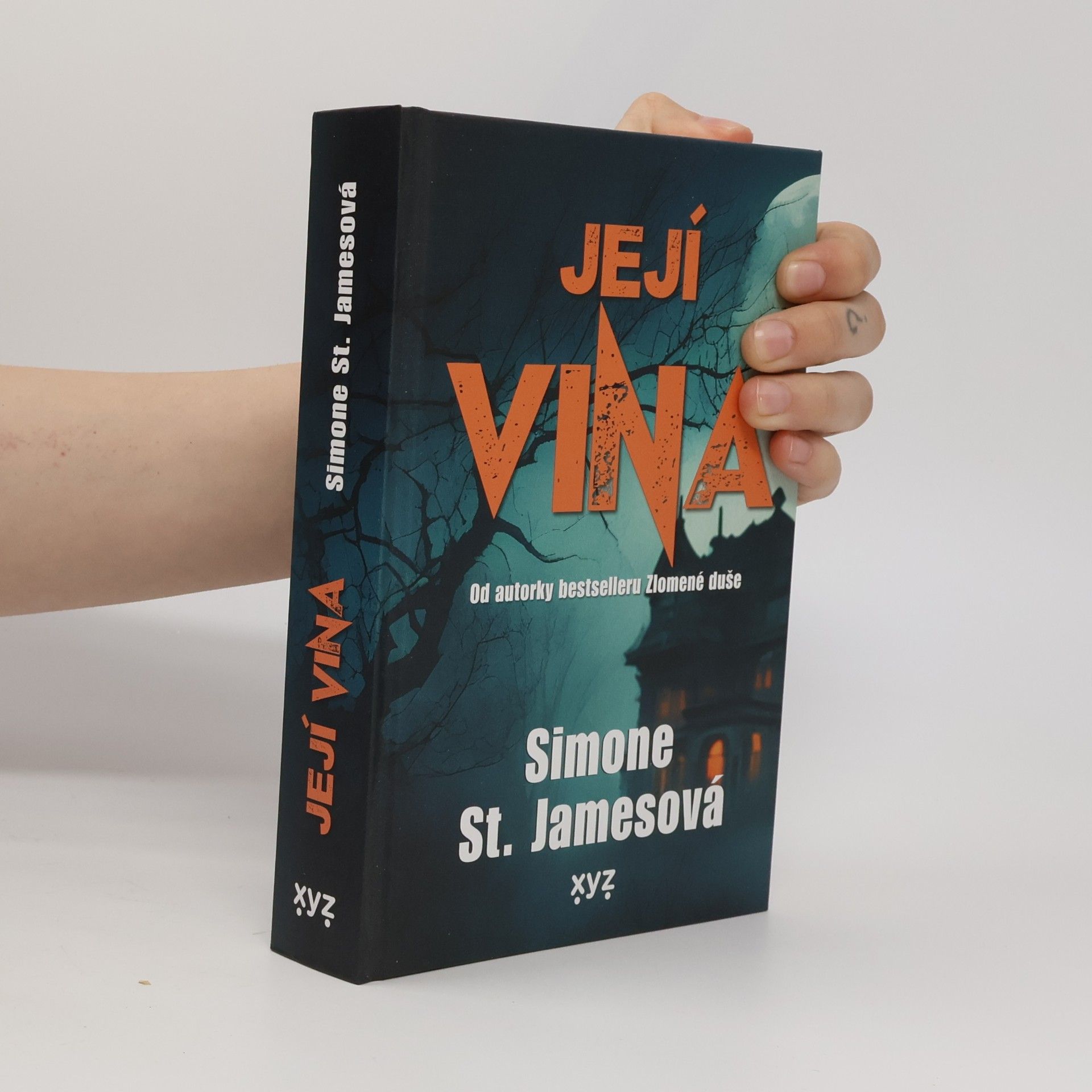 Simone St. James Její vina