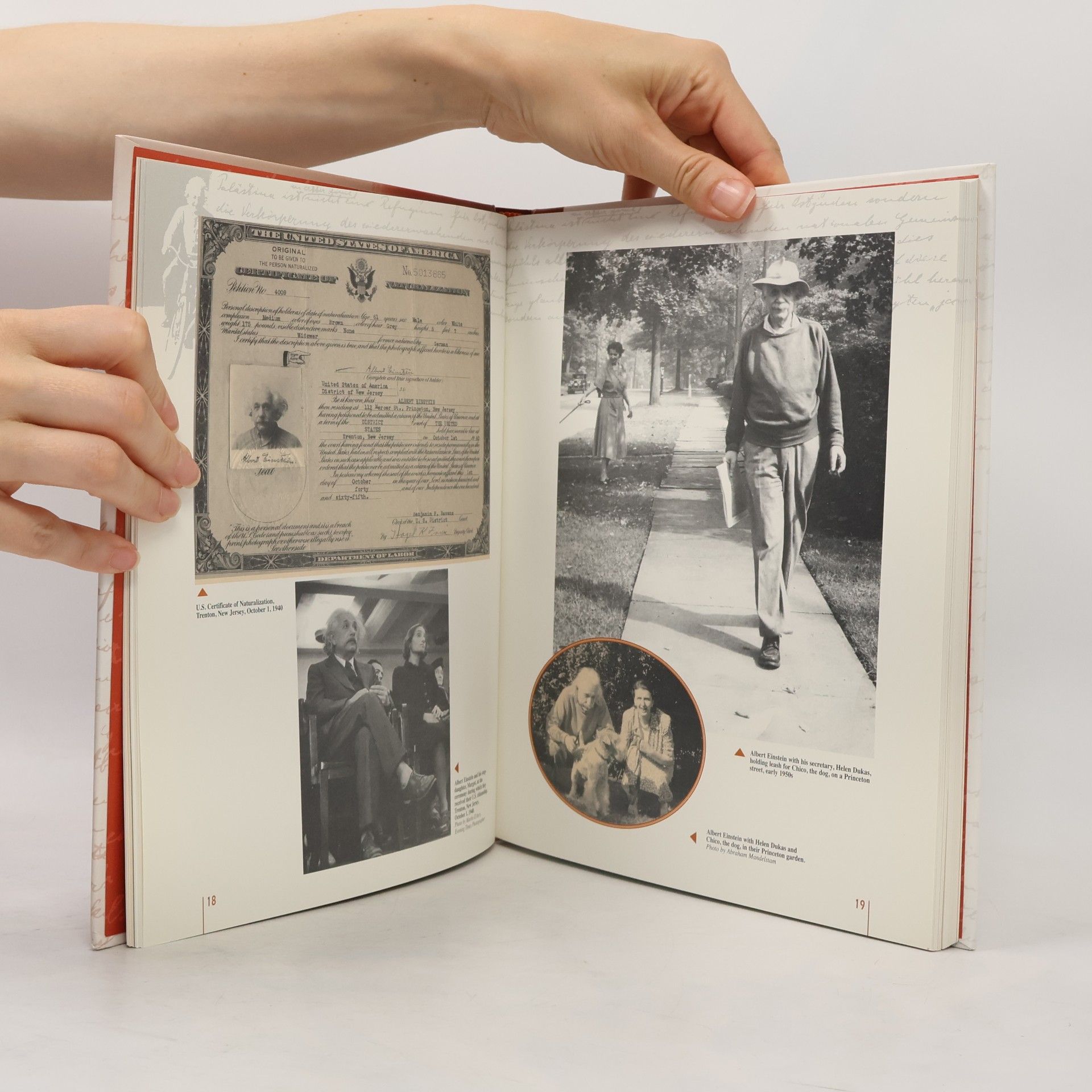 Zeev Rosenkranz Albert Through the Looking-Glass