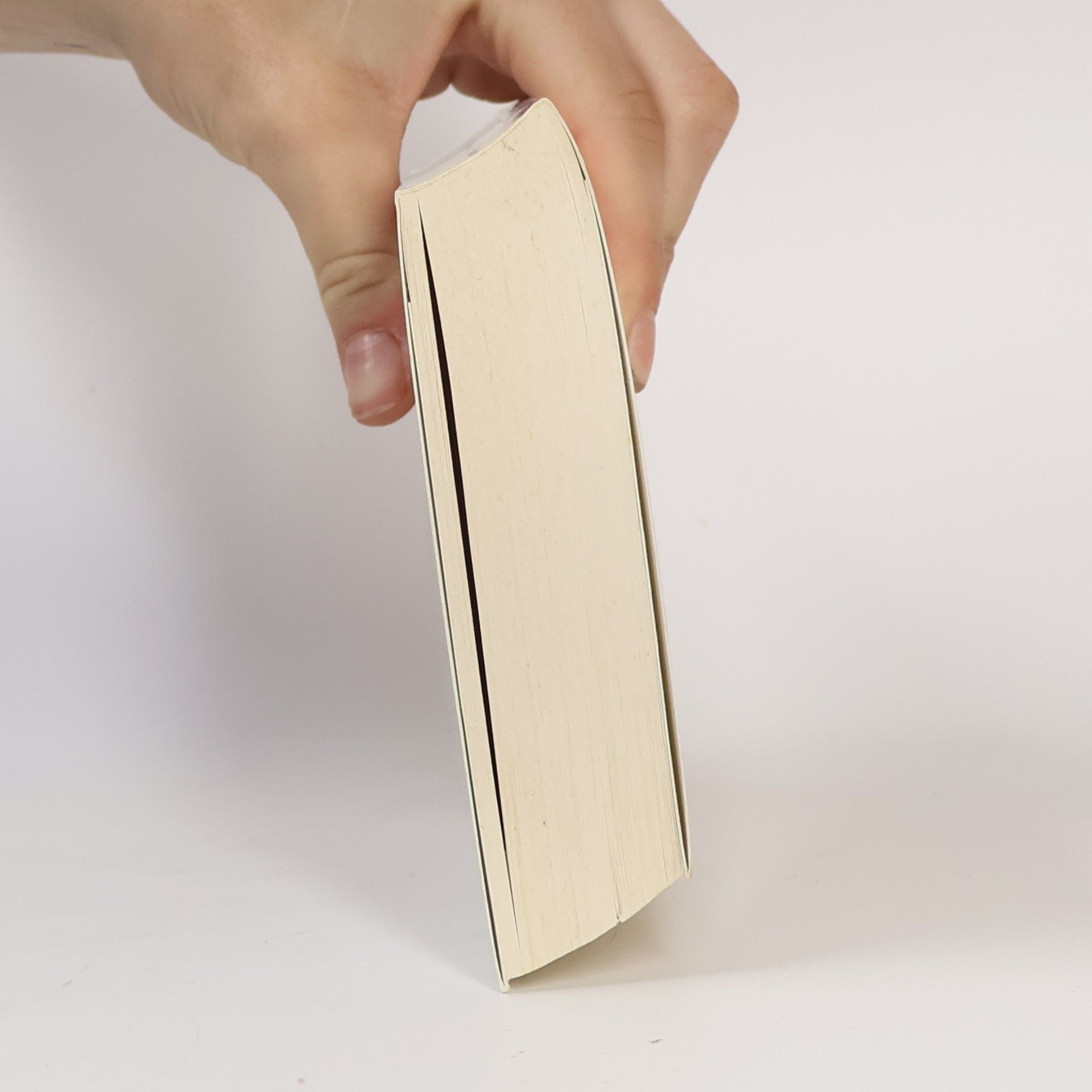 Alexander Nehamas Rotbuch Rationen: Die Kunst zu leben