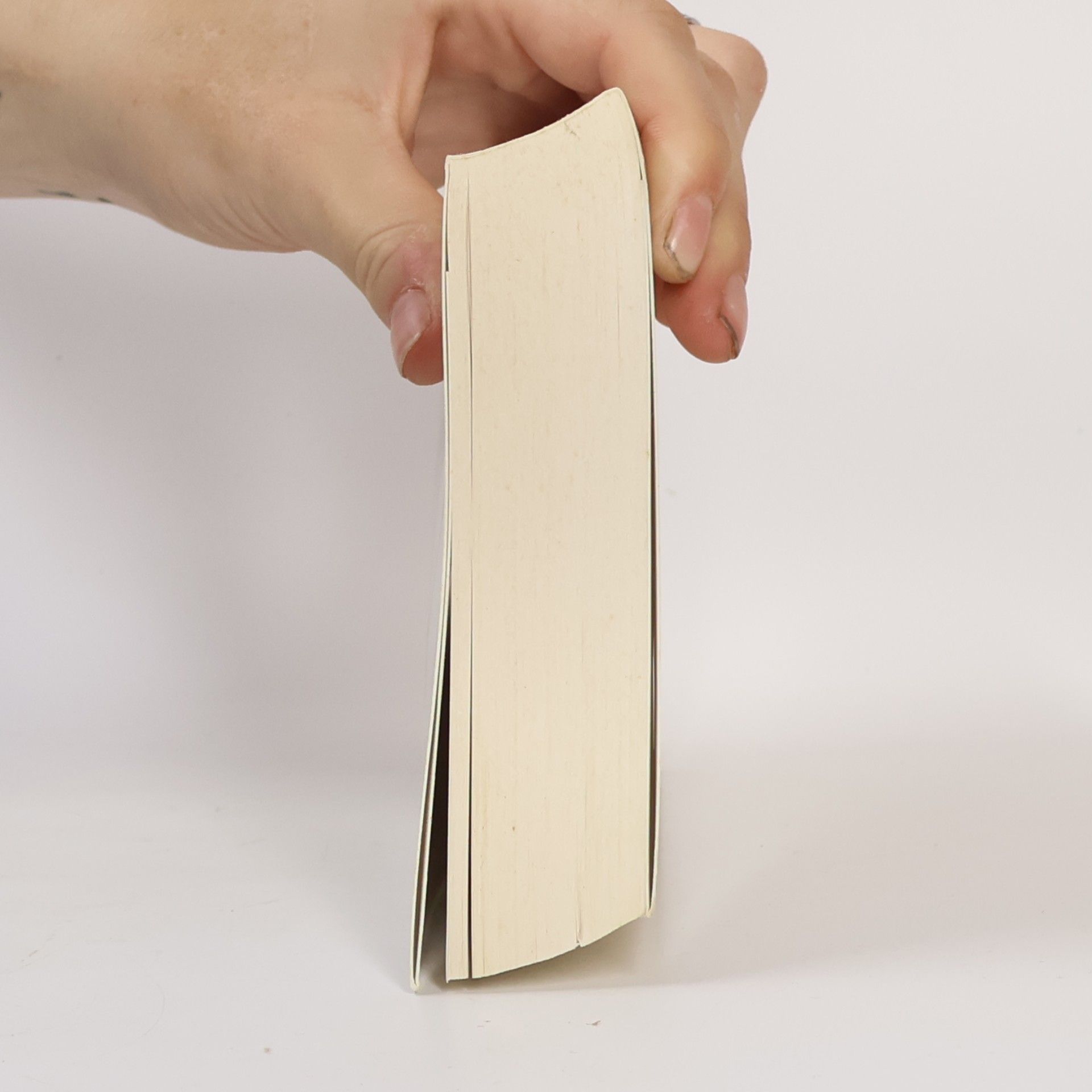Alexander Nehamas Rotbuch Rationen: Die Kunst zu leben